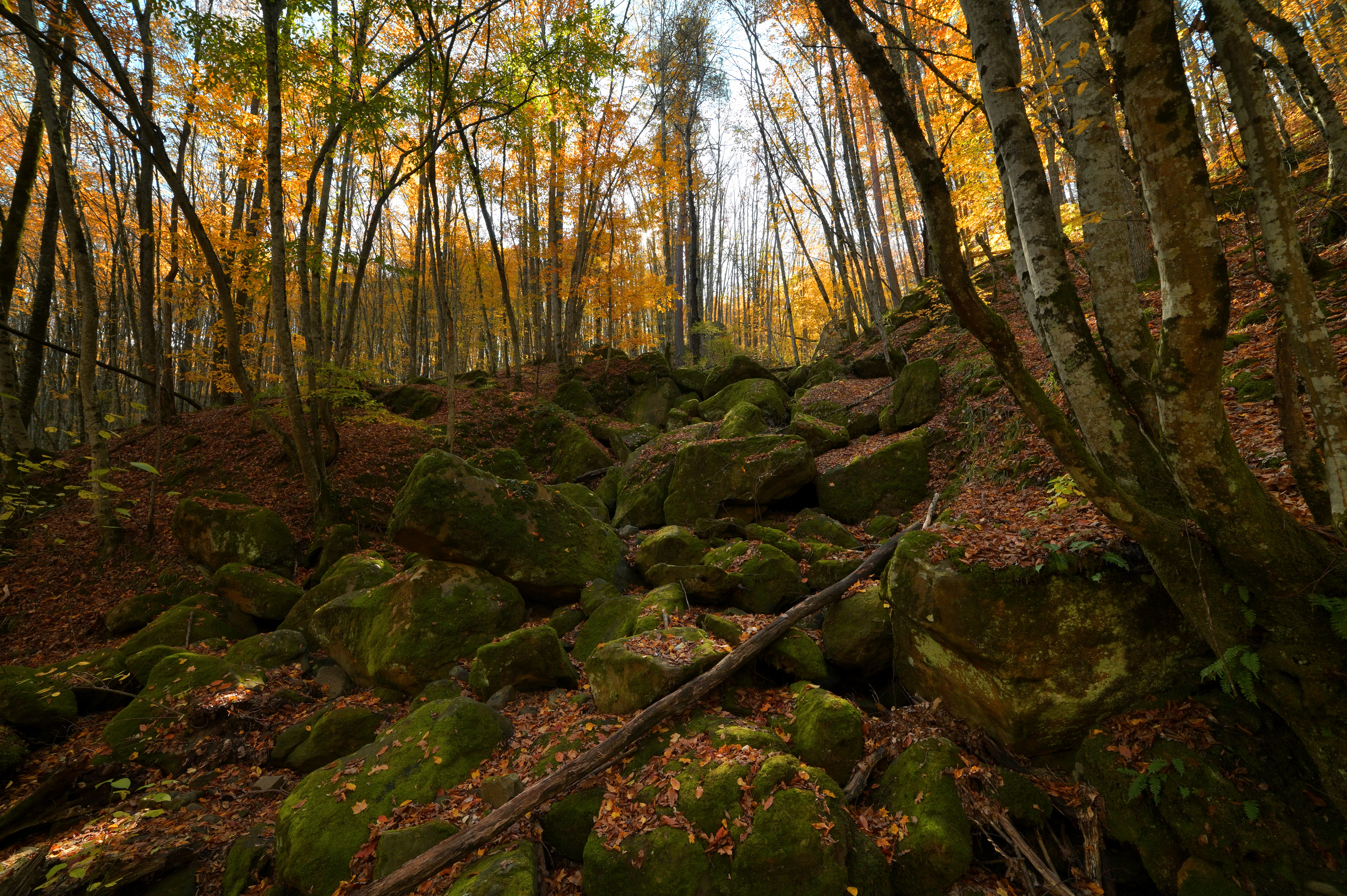 , Сергей Тихомиров
