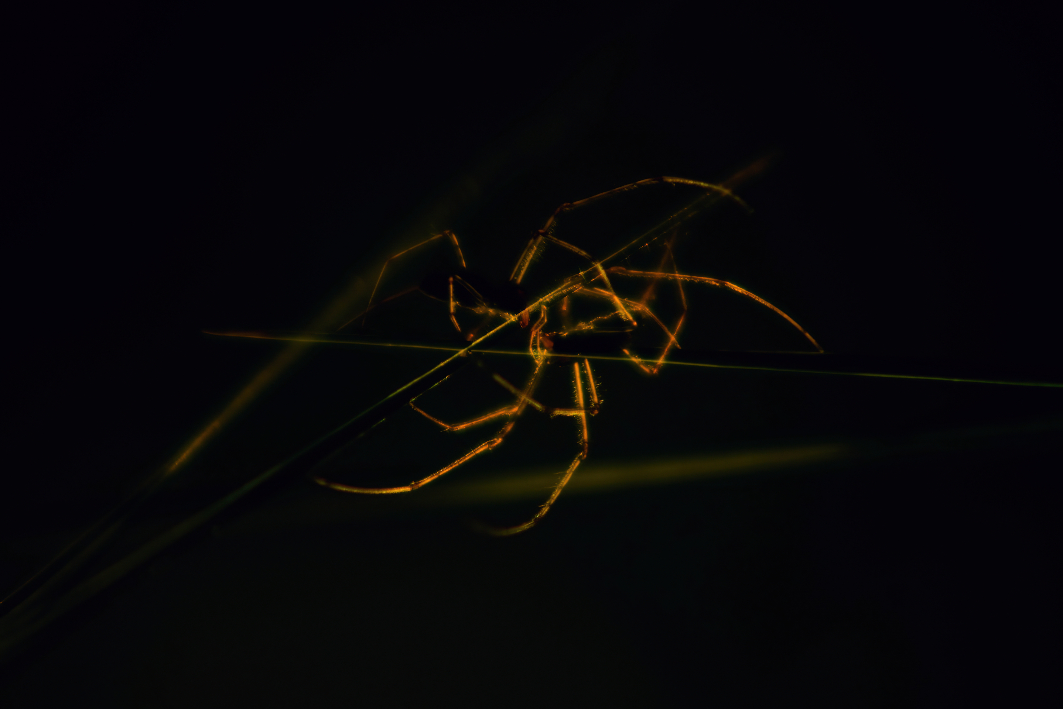 , Калиногорский Юрий