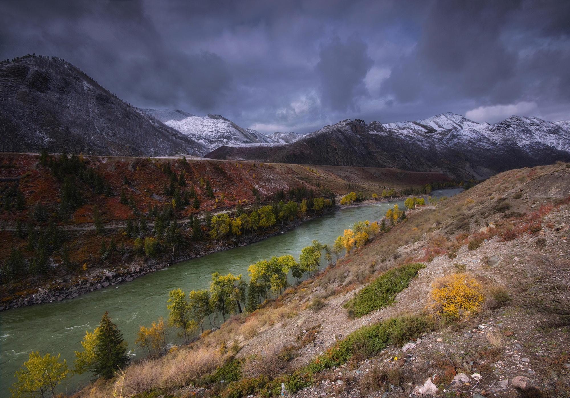 алтай, осень, снег, река, горы, вода, чуя, Чичкин Валерий