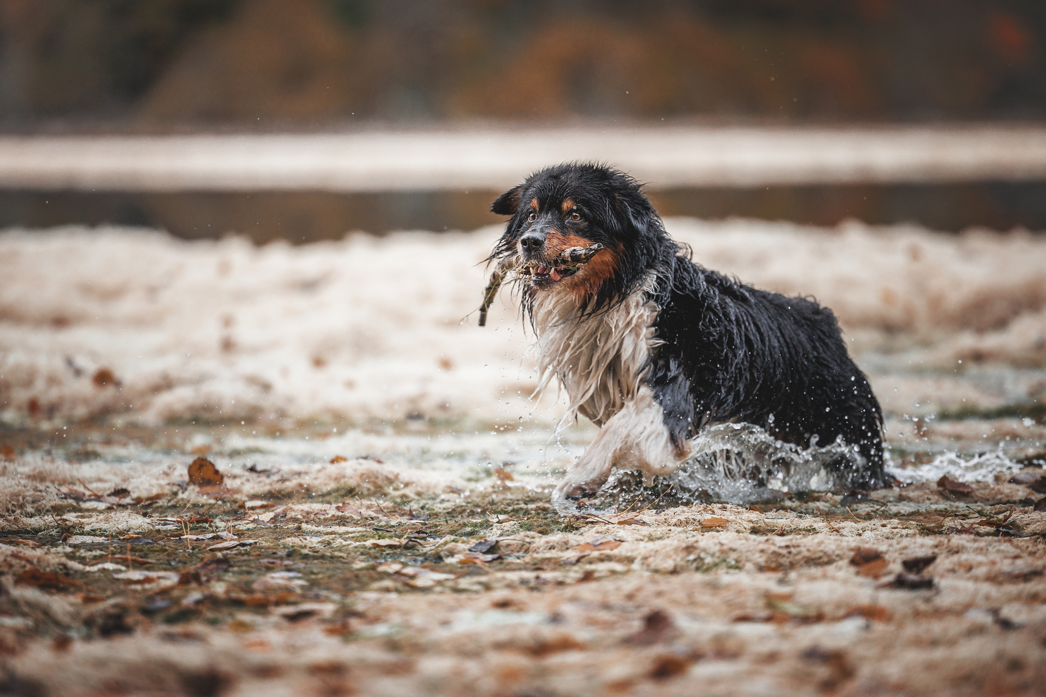 , Яна Нарбутович