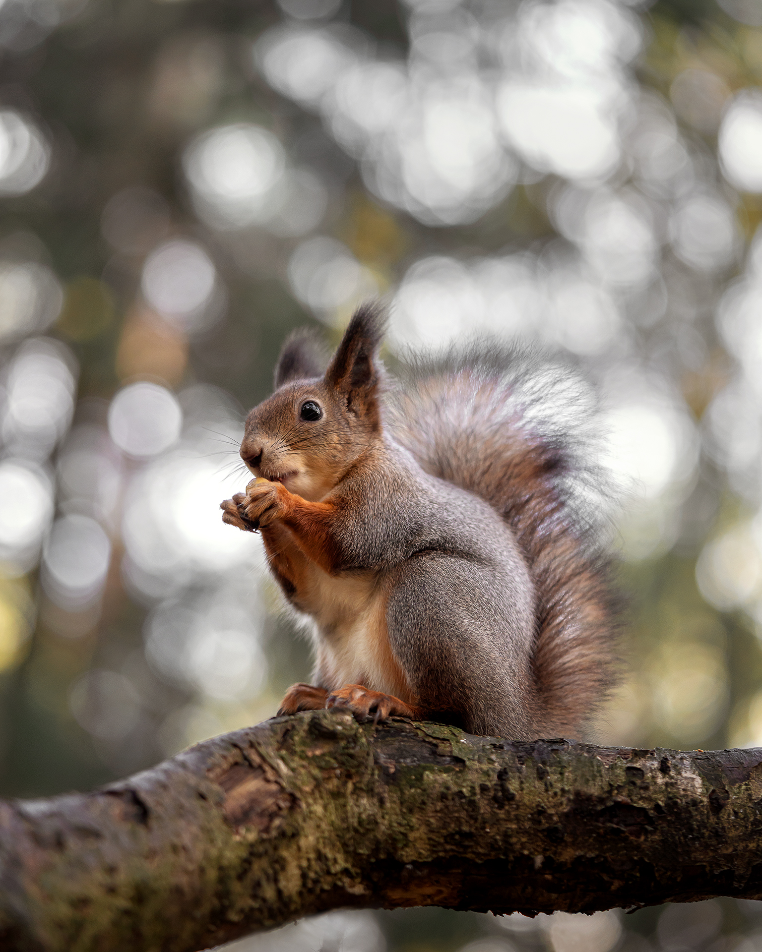 , Завьялова Людмила!