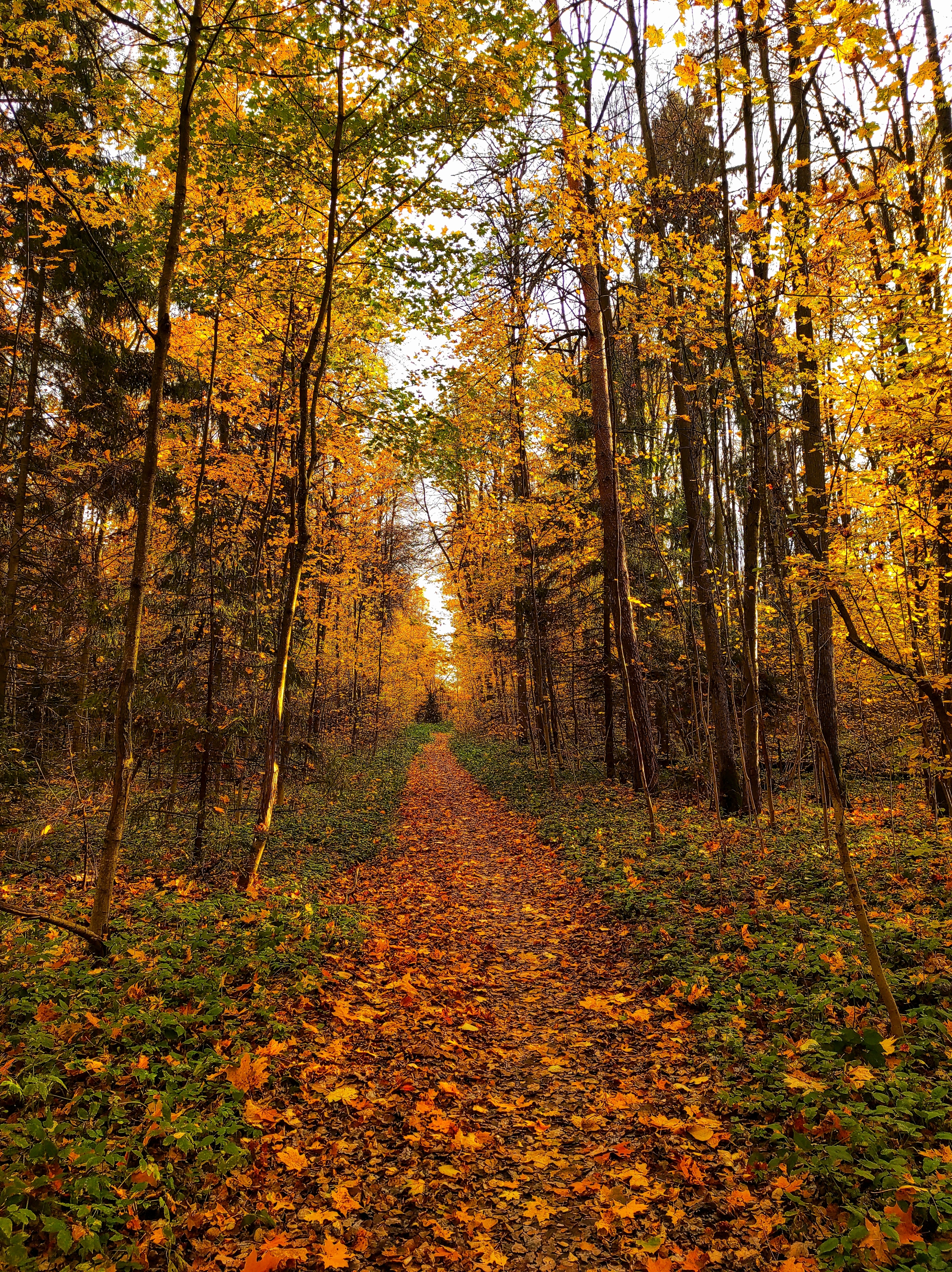 , Фото Александр