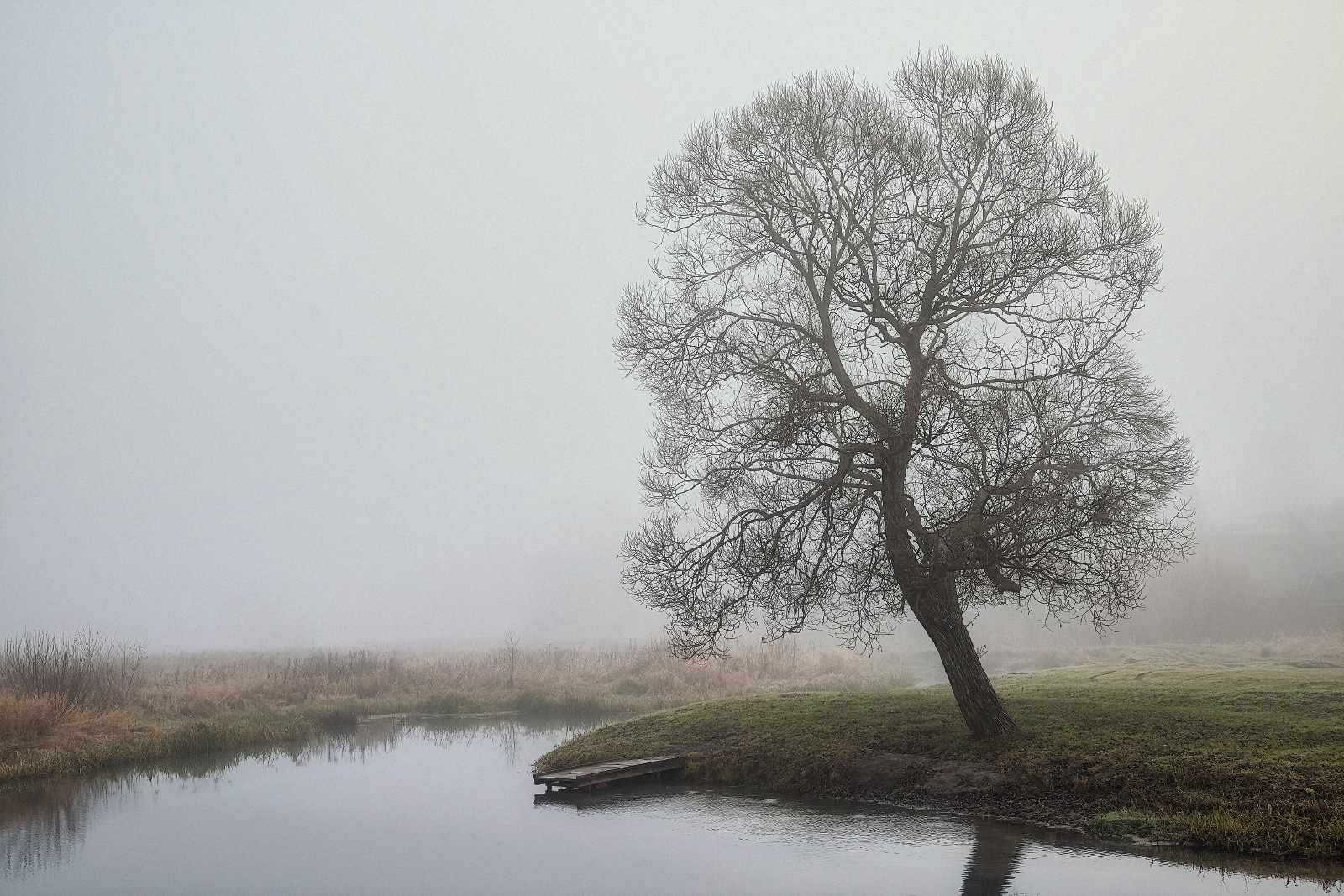 , Евгений Ерохин