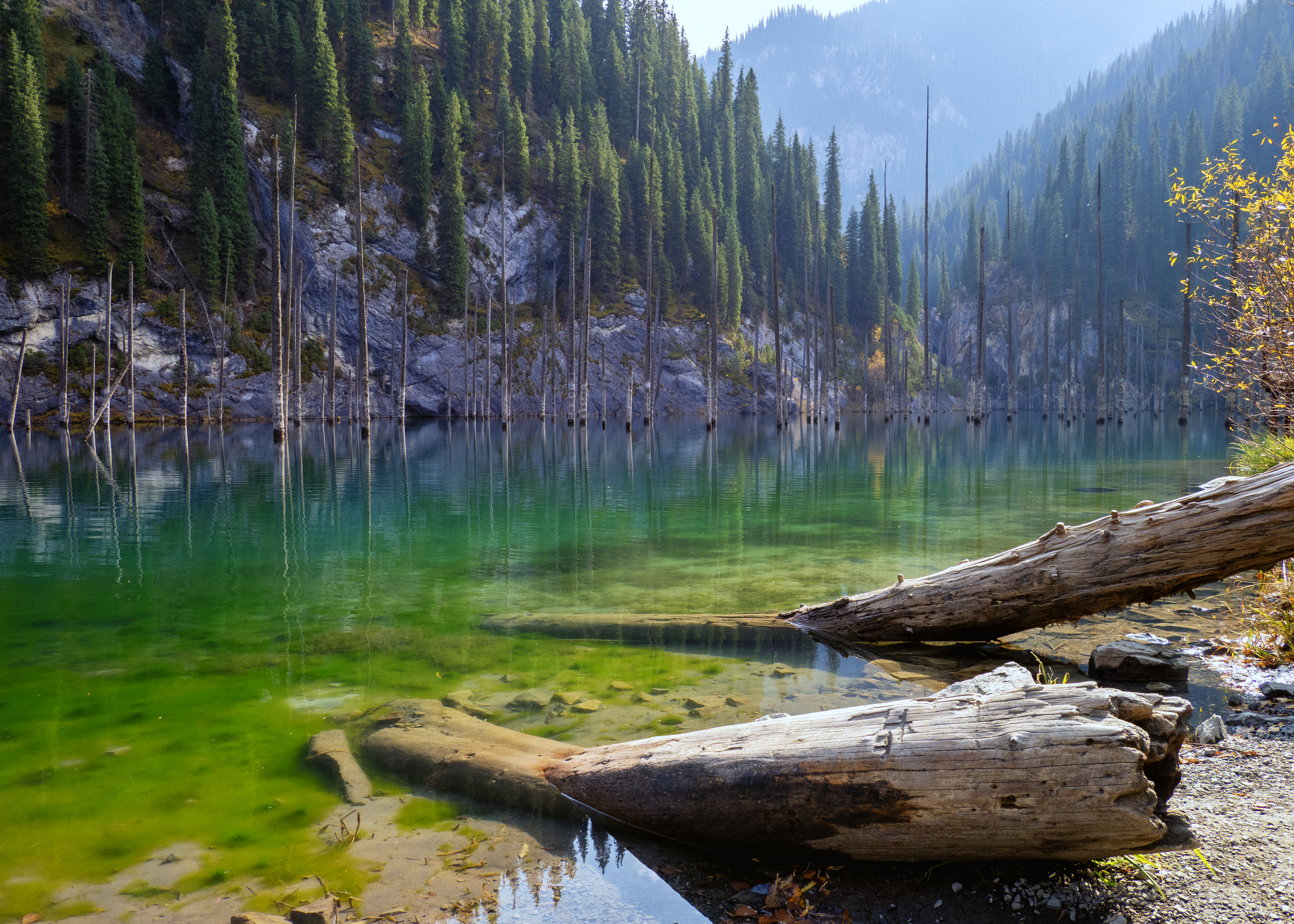, Андрей Хаймин