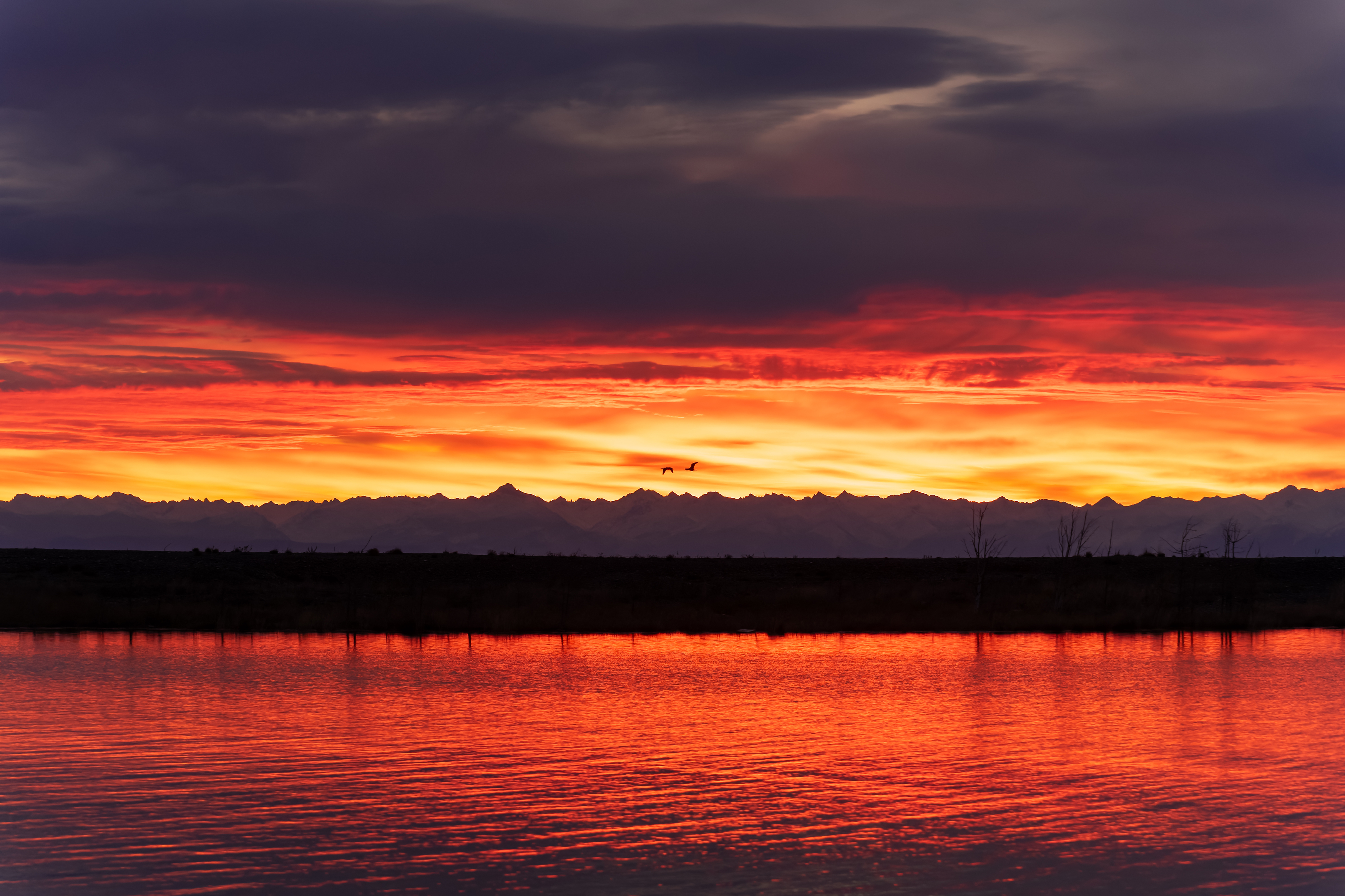 , Екатерина Дубровская