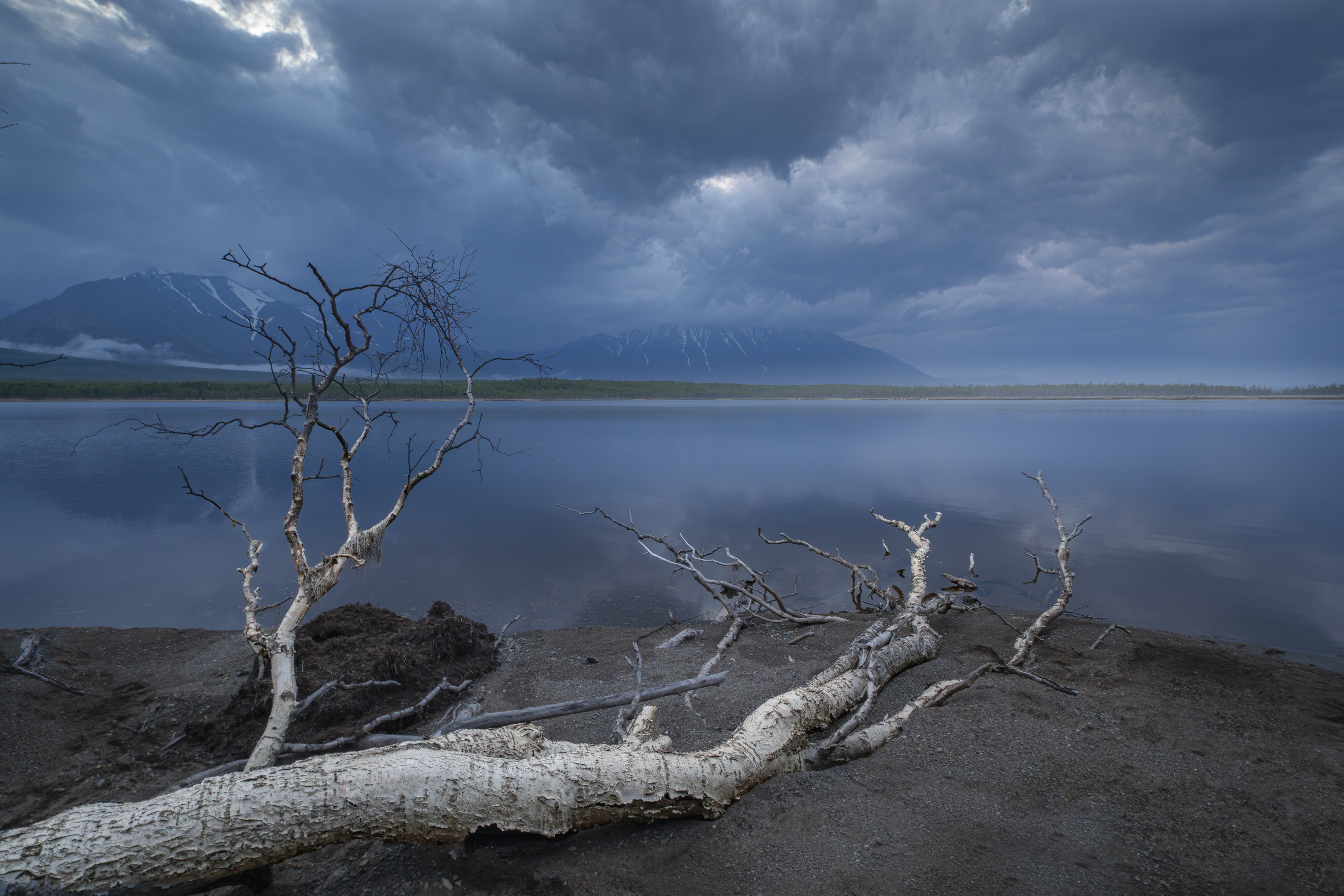 , Лаврентьев Александр