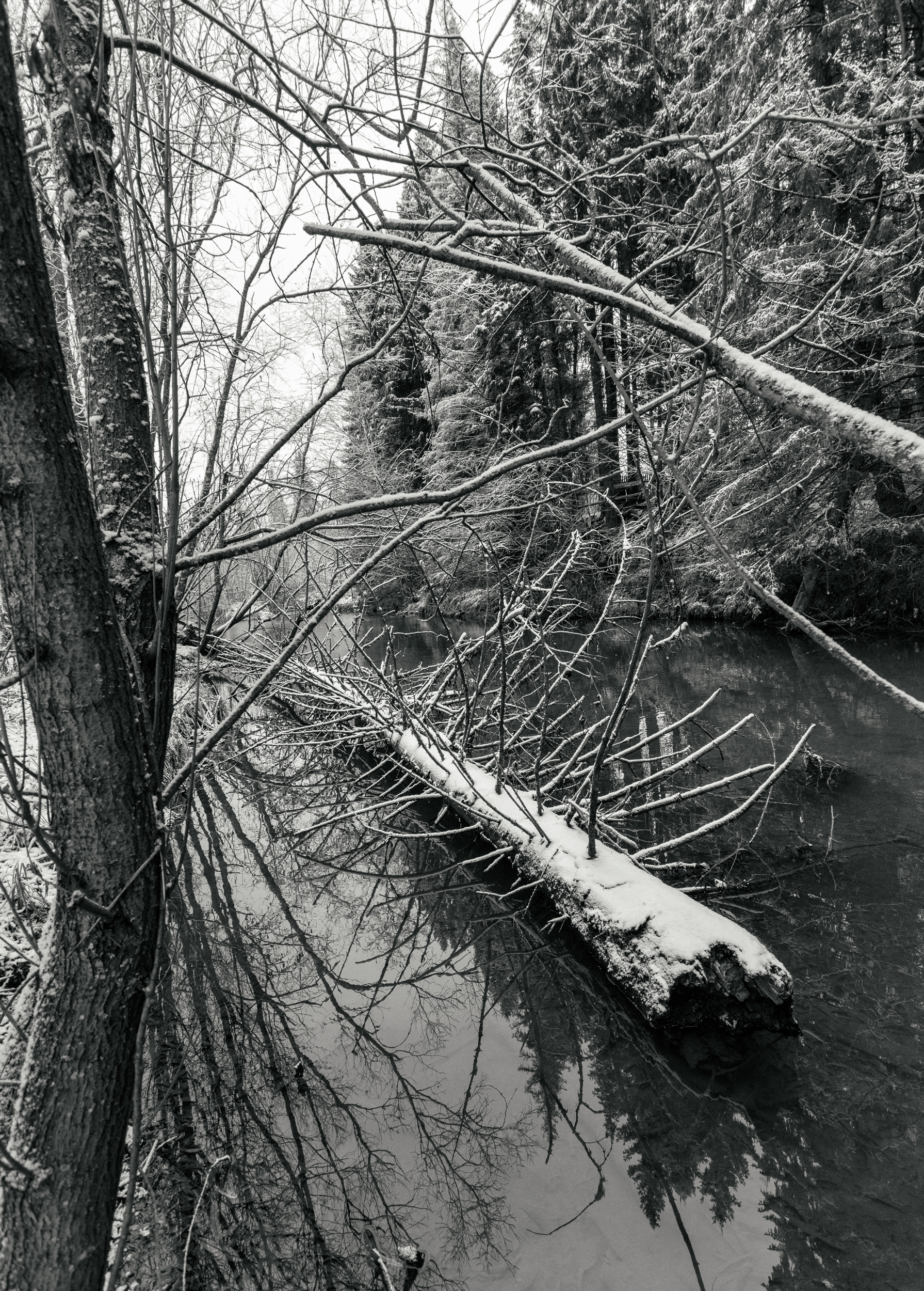 , Федотов Сергей