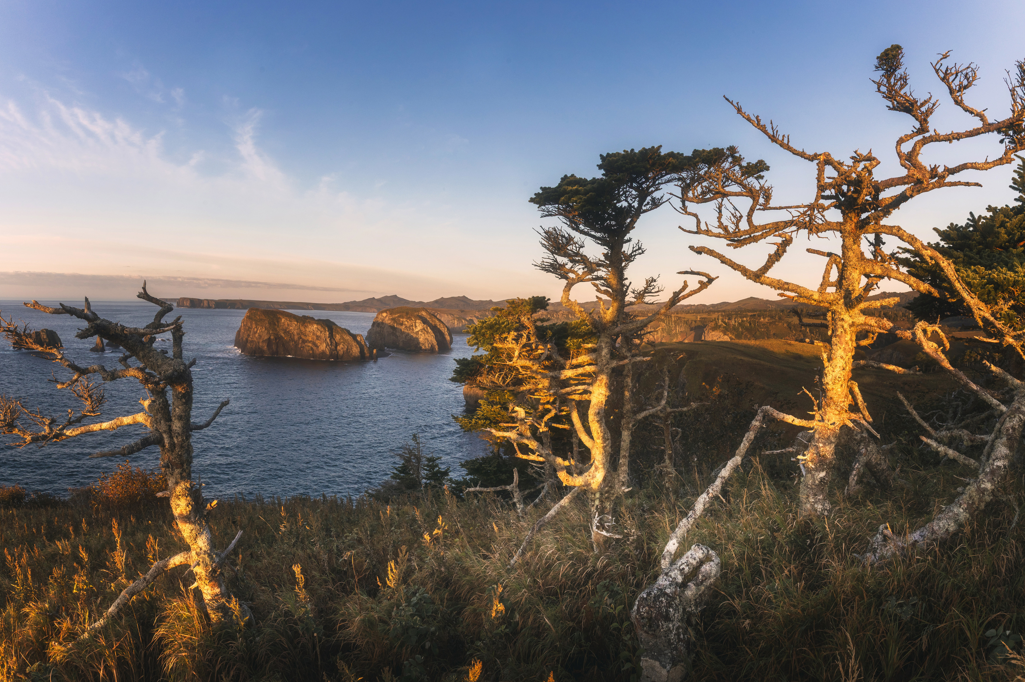 , Грамаков Юрий