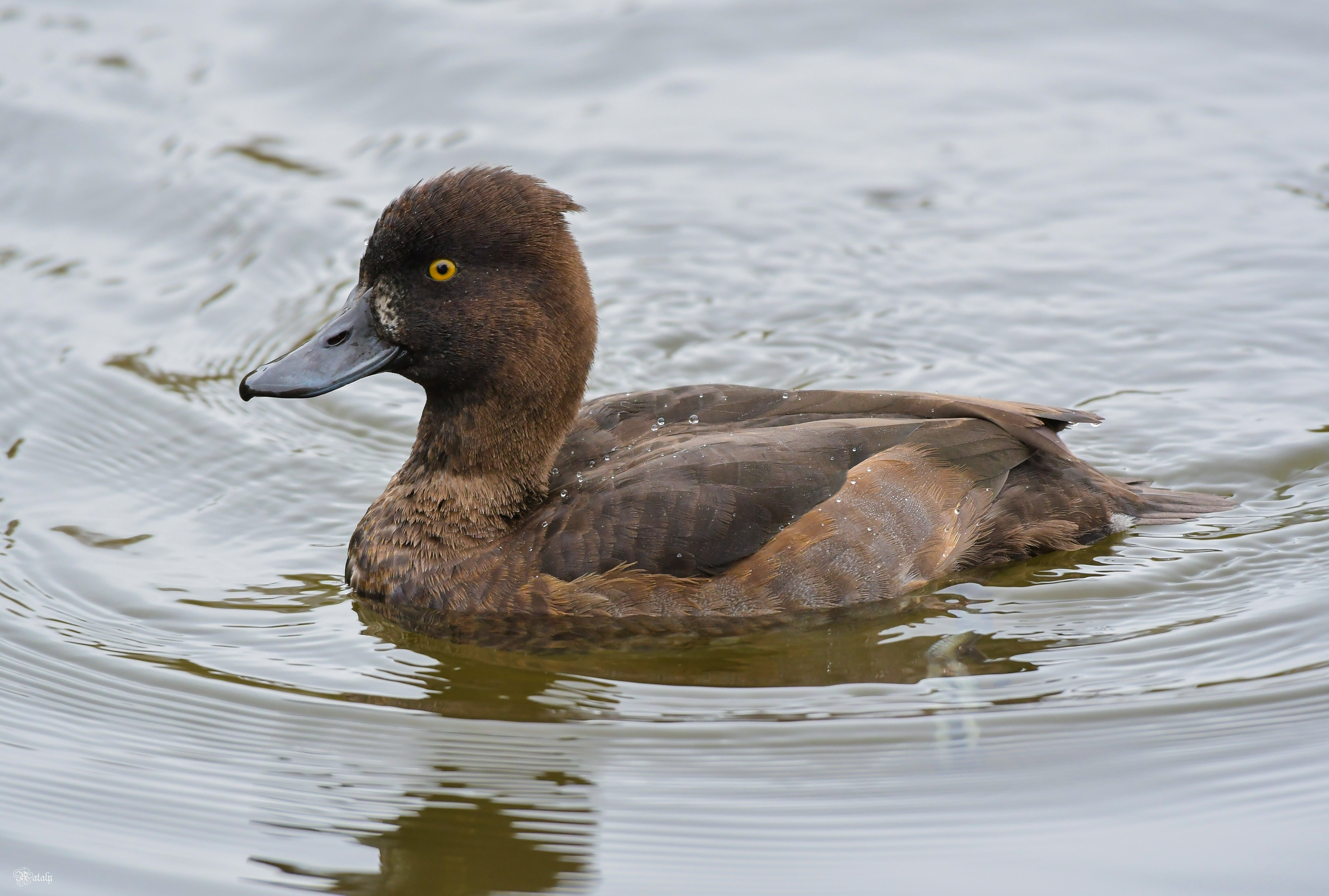 , Наталья Екимова