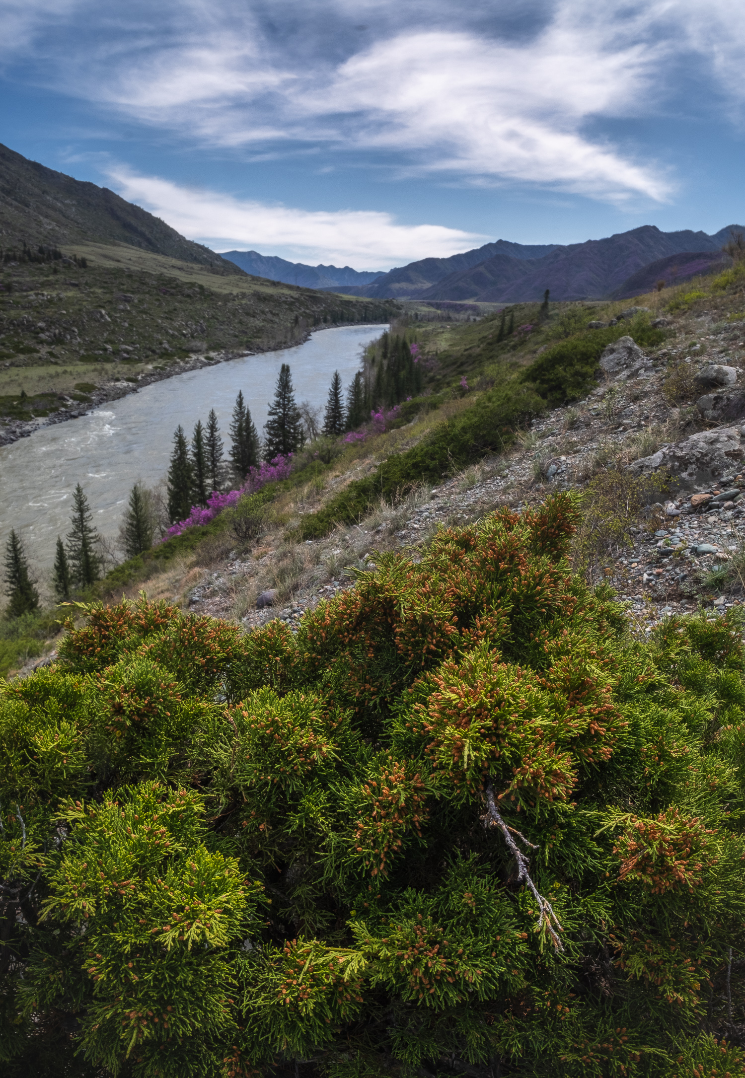 , Коротеев Вадим