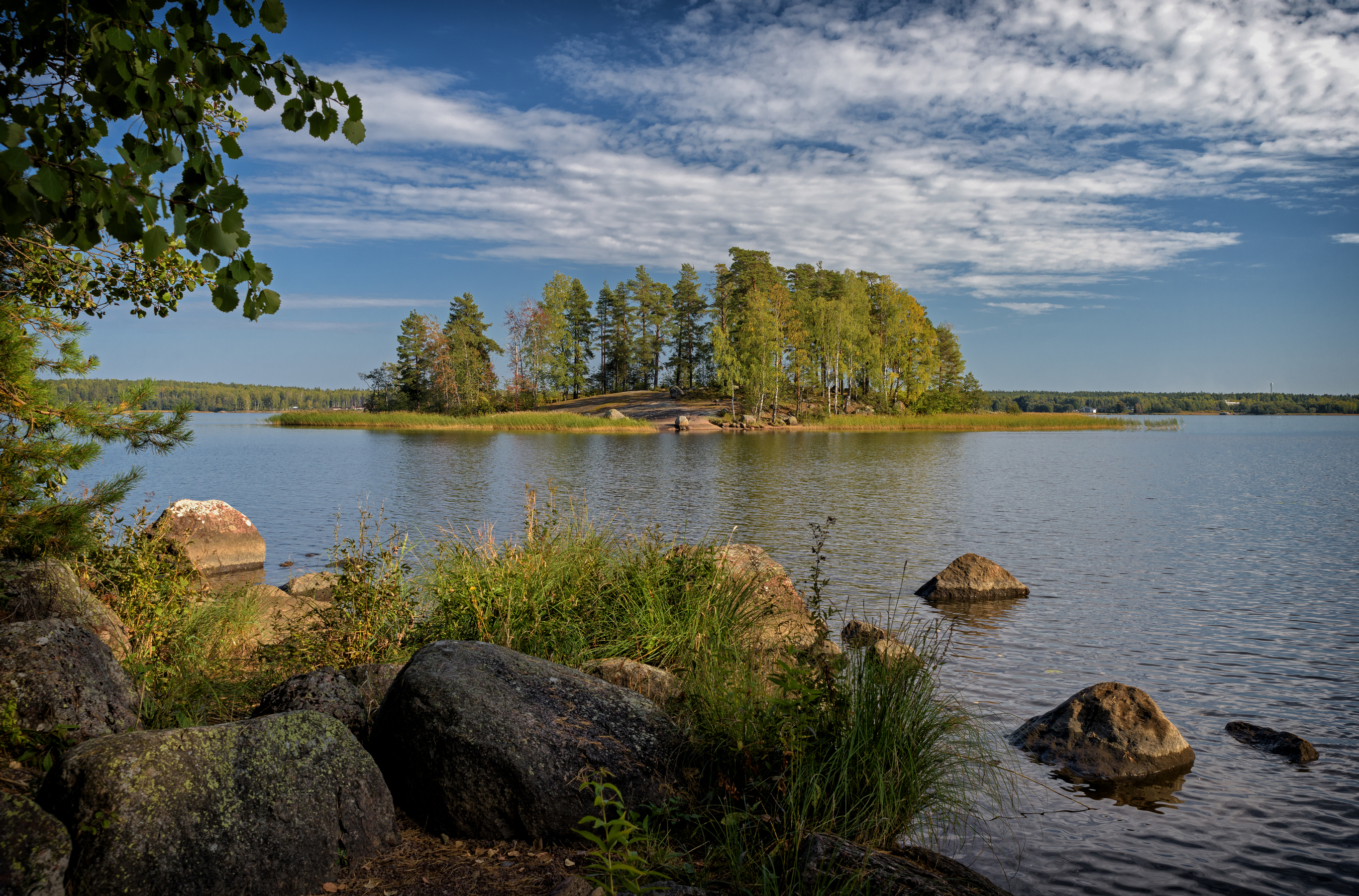 выборг парк монрепо, Тихонов Дмитрий