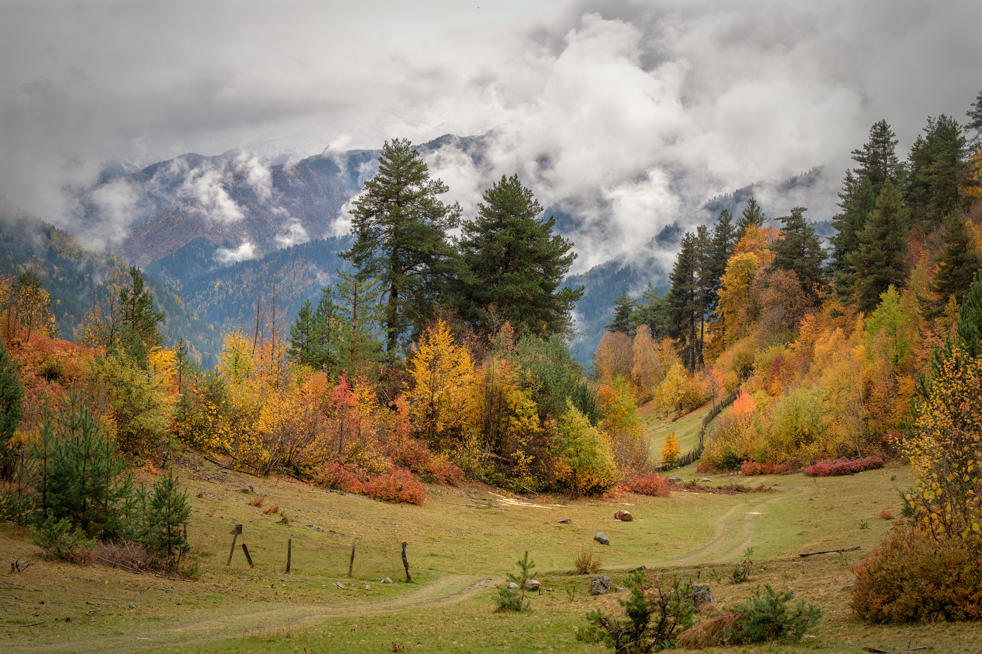 svaneti, tsvirmi, fall, autumn, trees, mountains, clouds, sky, nature, landscape, scenery, travel, outdoors, georgia, sakartvelo, chizh, Чиж Андрей