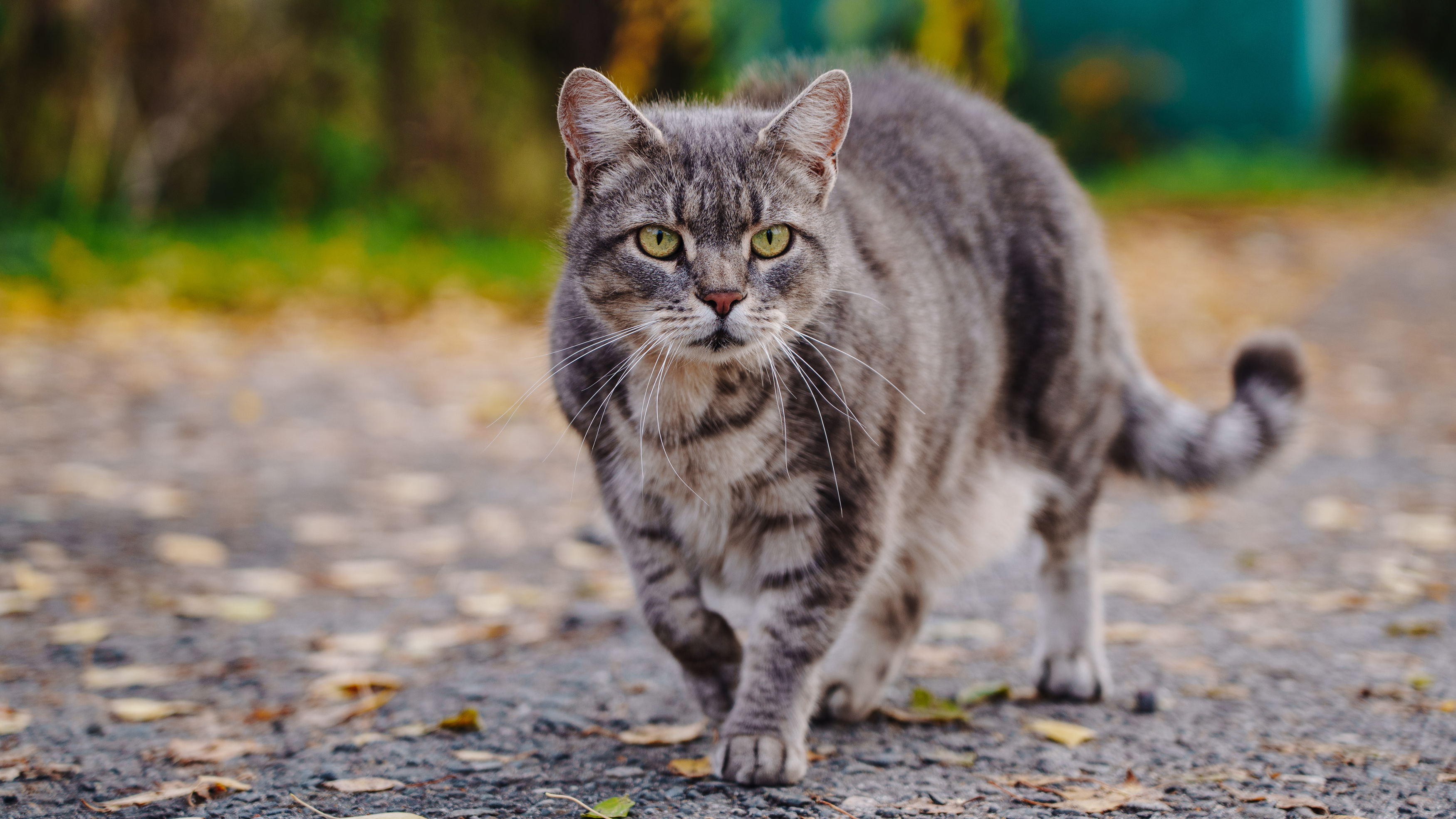 , Вертиков Юрий