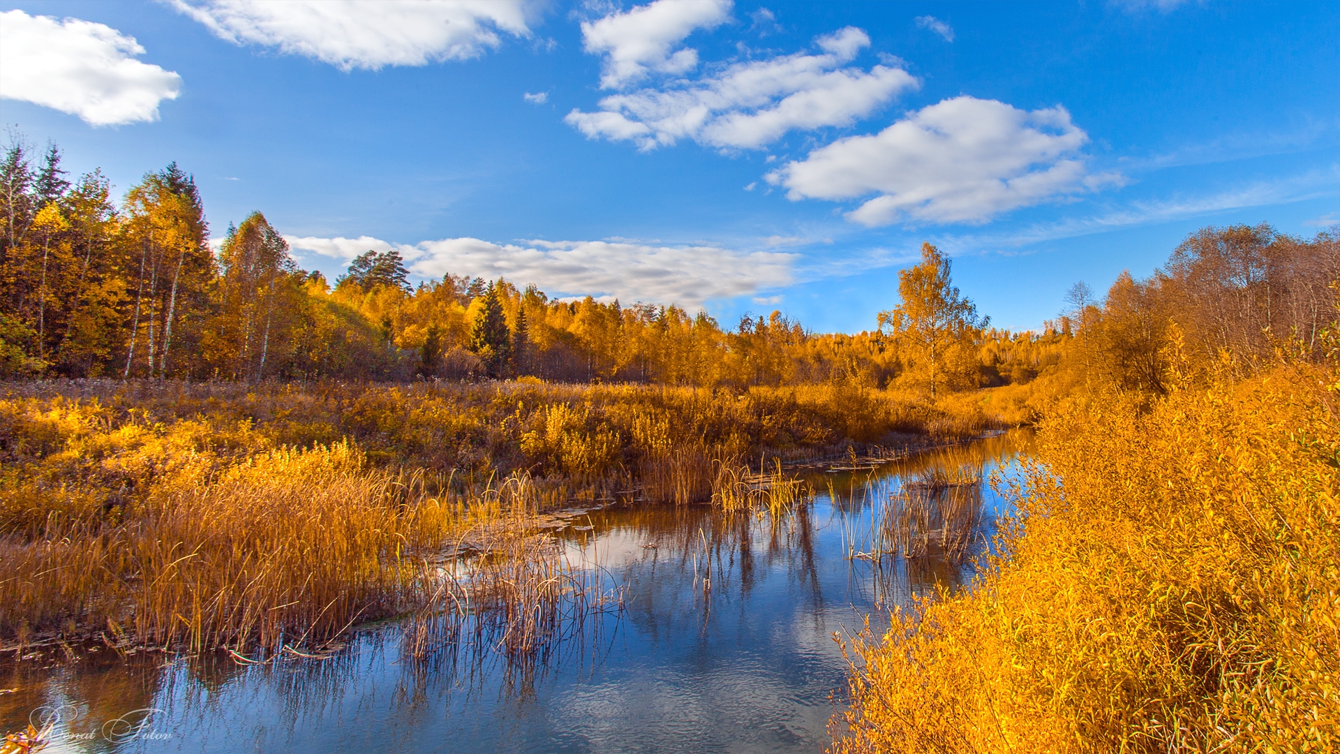 , Фотов Ренат