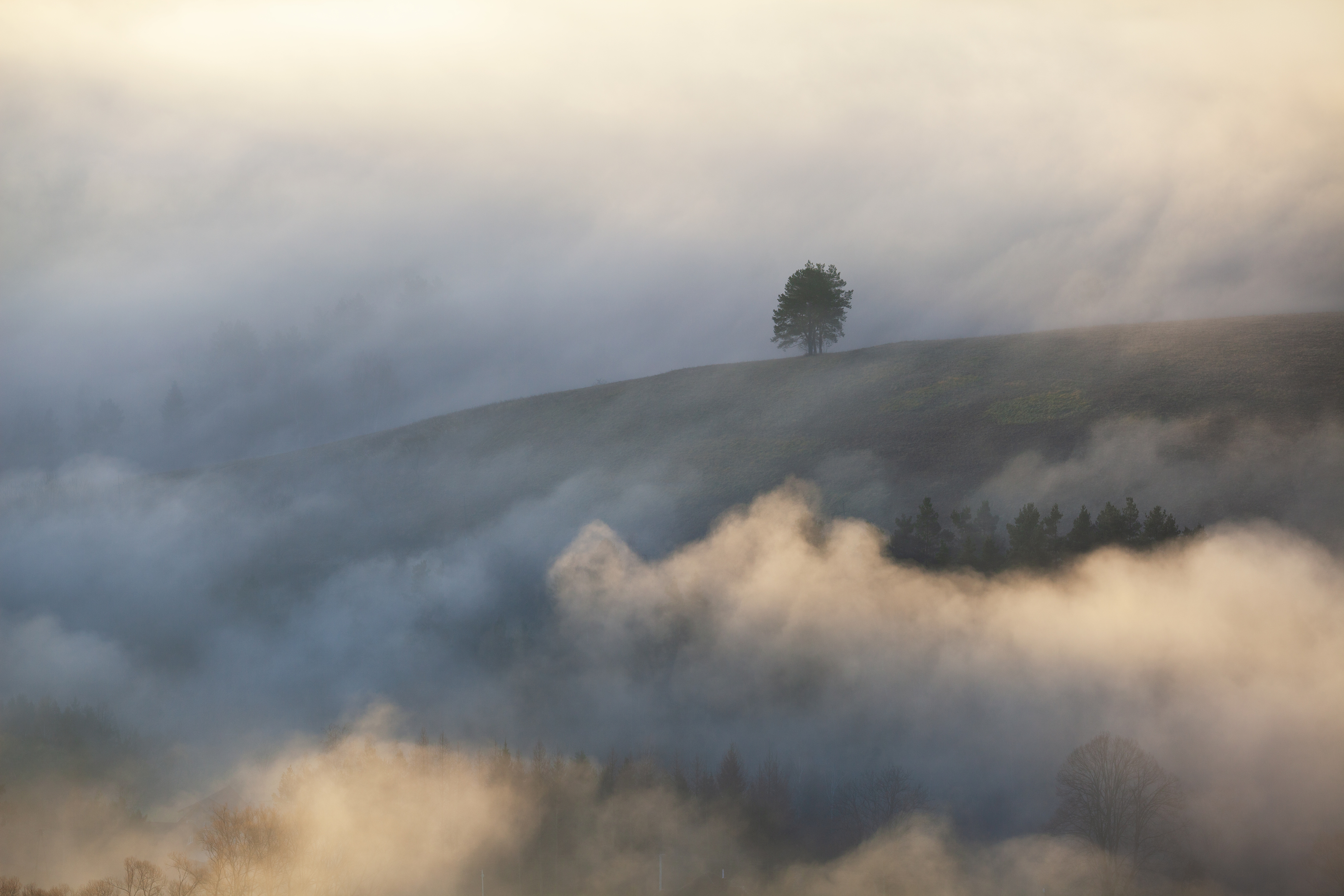 ,  Mirosław Pruchnicki