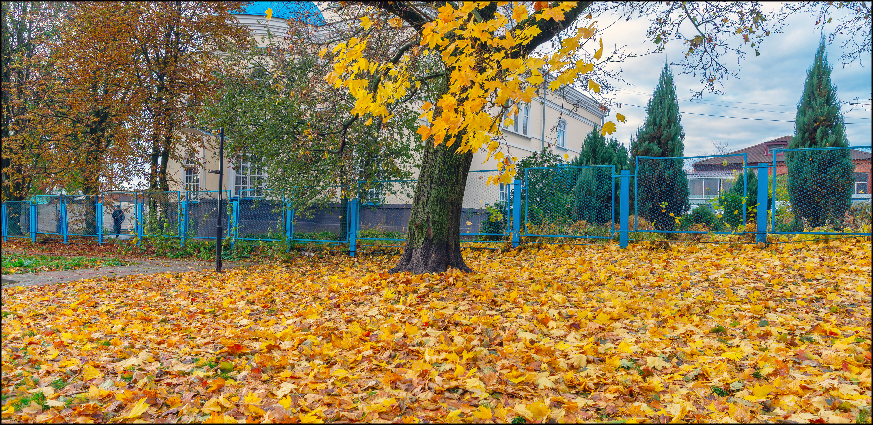 , Каменев Виталий