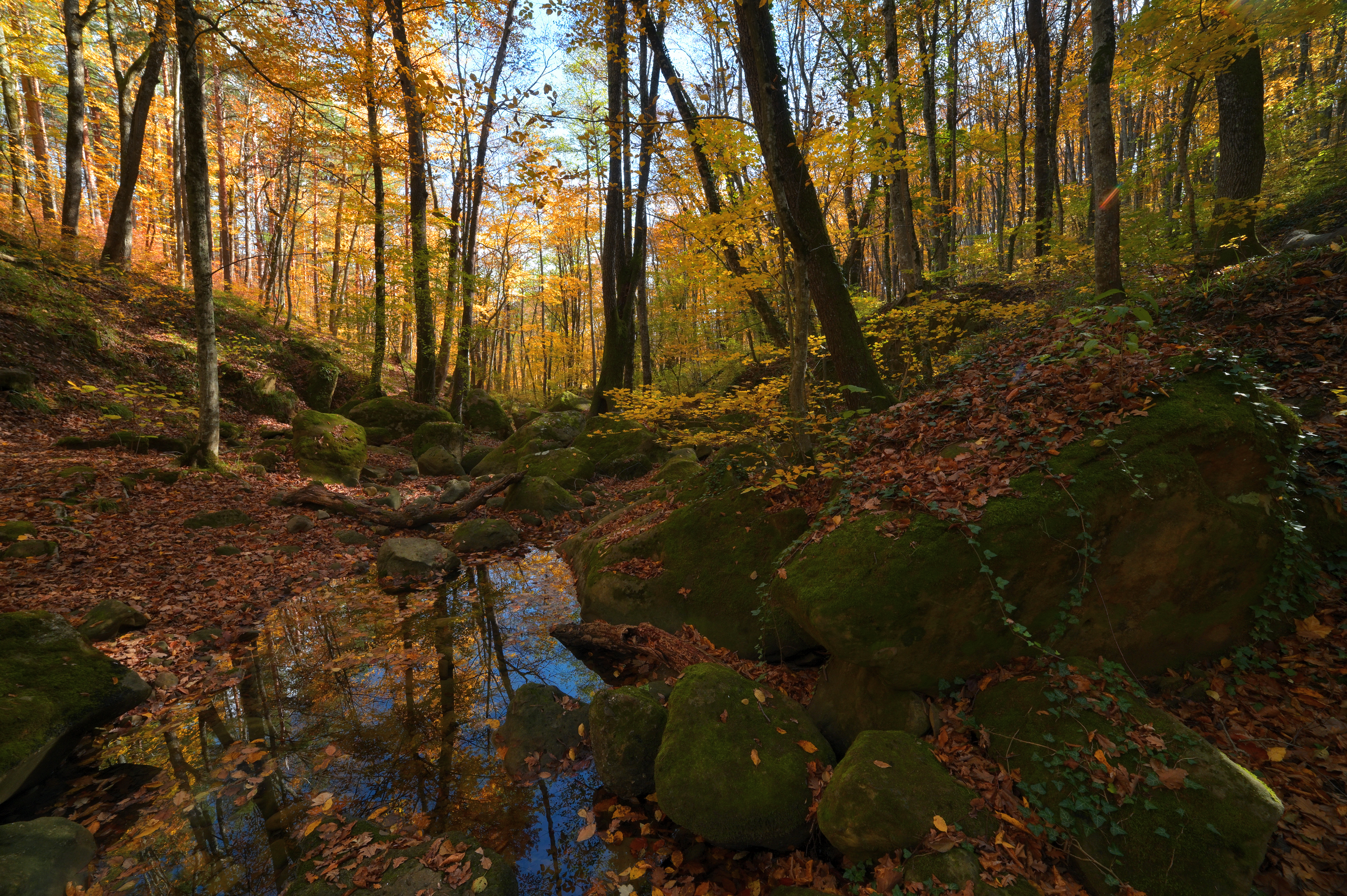 , Сергей Тихомиров
