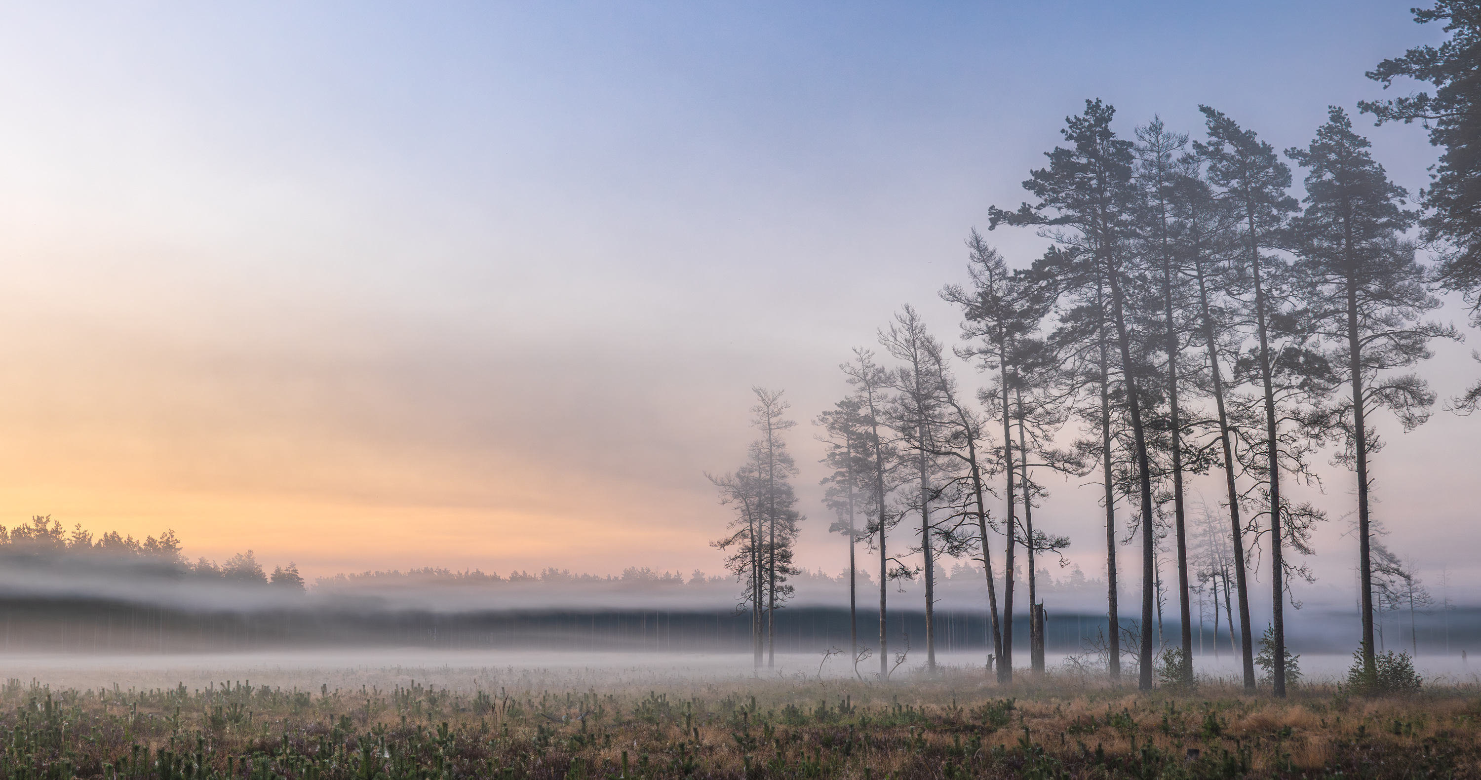 , Гордон Николай