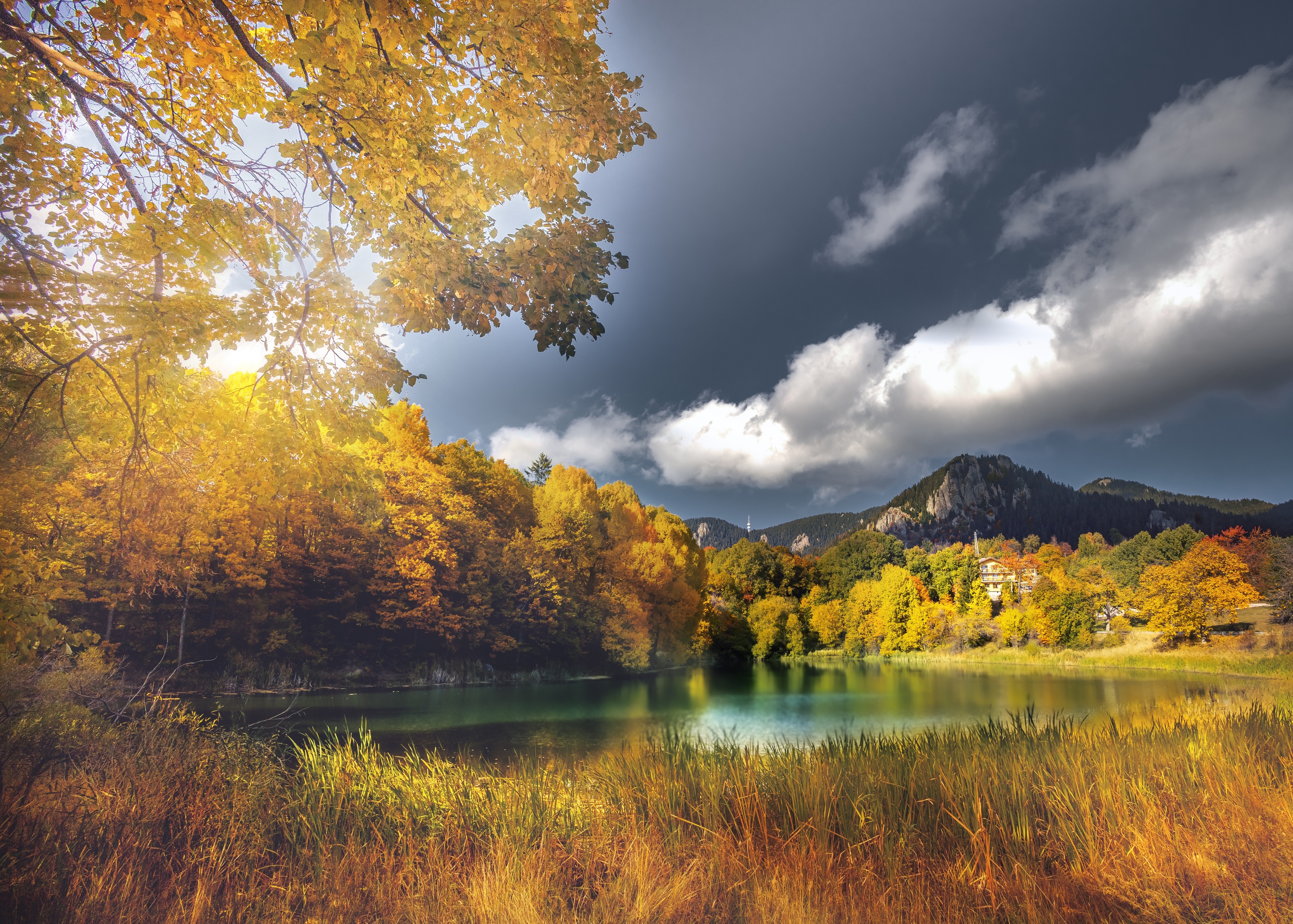 , Бобчева Веселина