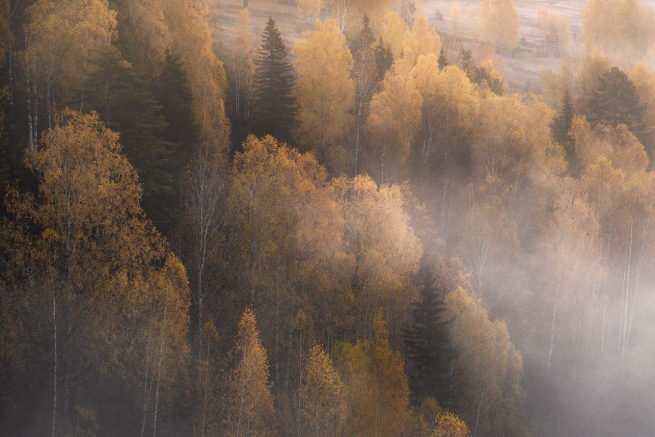 , Малыгин Андрей