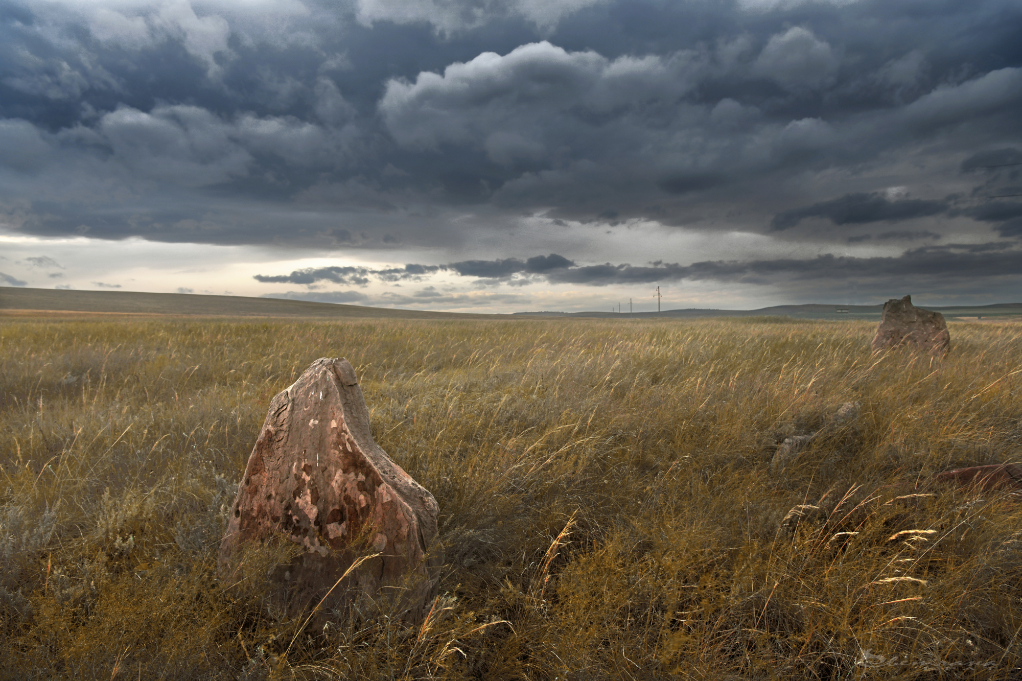 , Крат Светлана