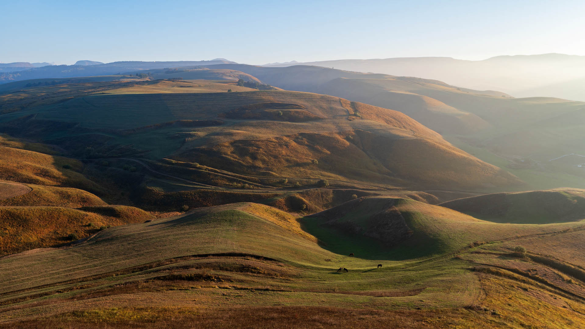 , Шевченко Юрий