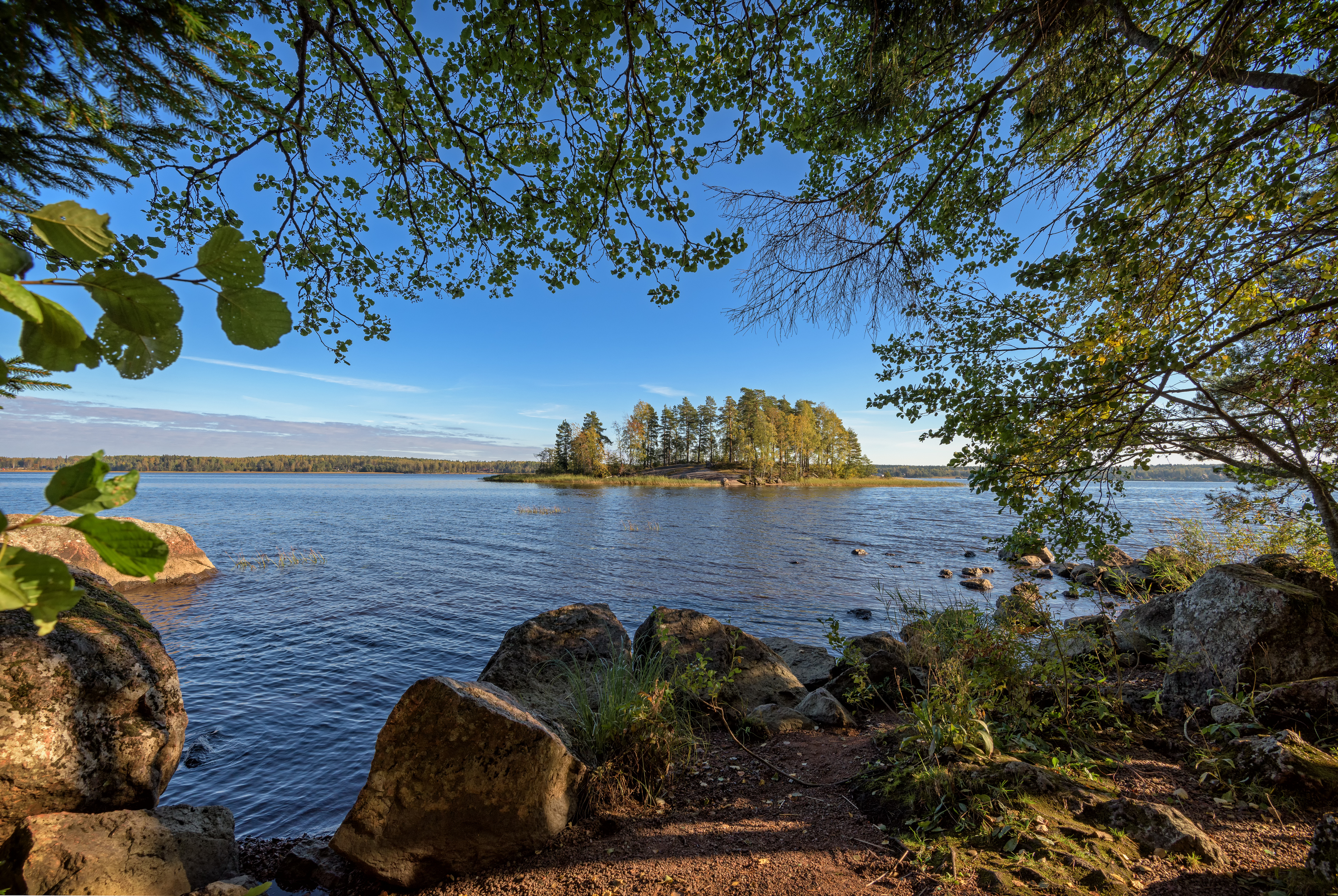 выборг парк монрепо, Тихонов Дмитрий