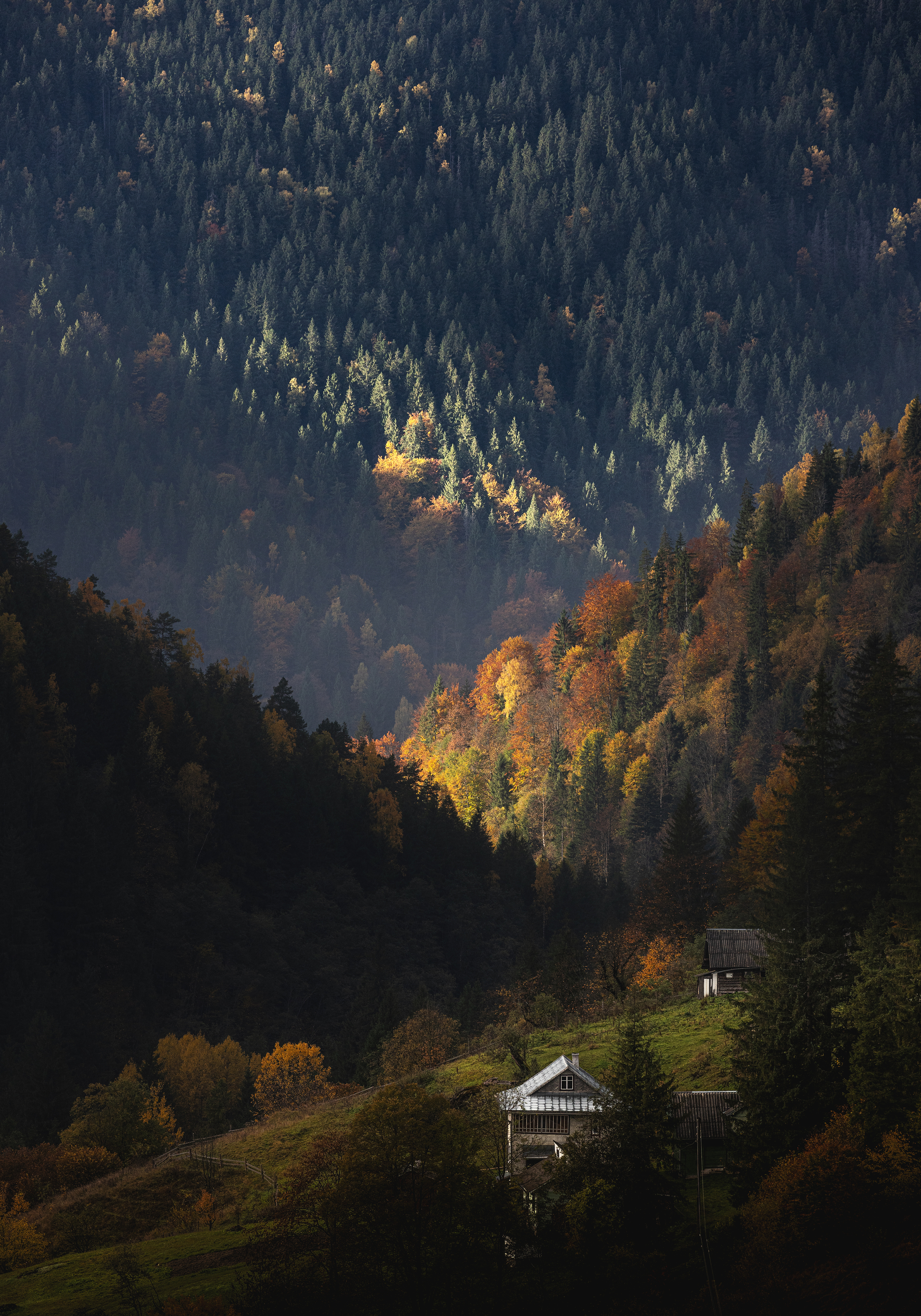 ray of light, Дмитрий Иванов