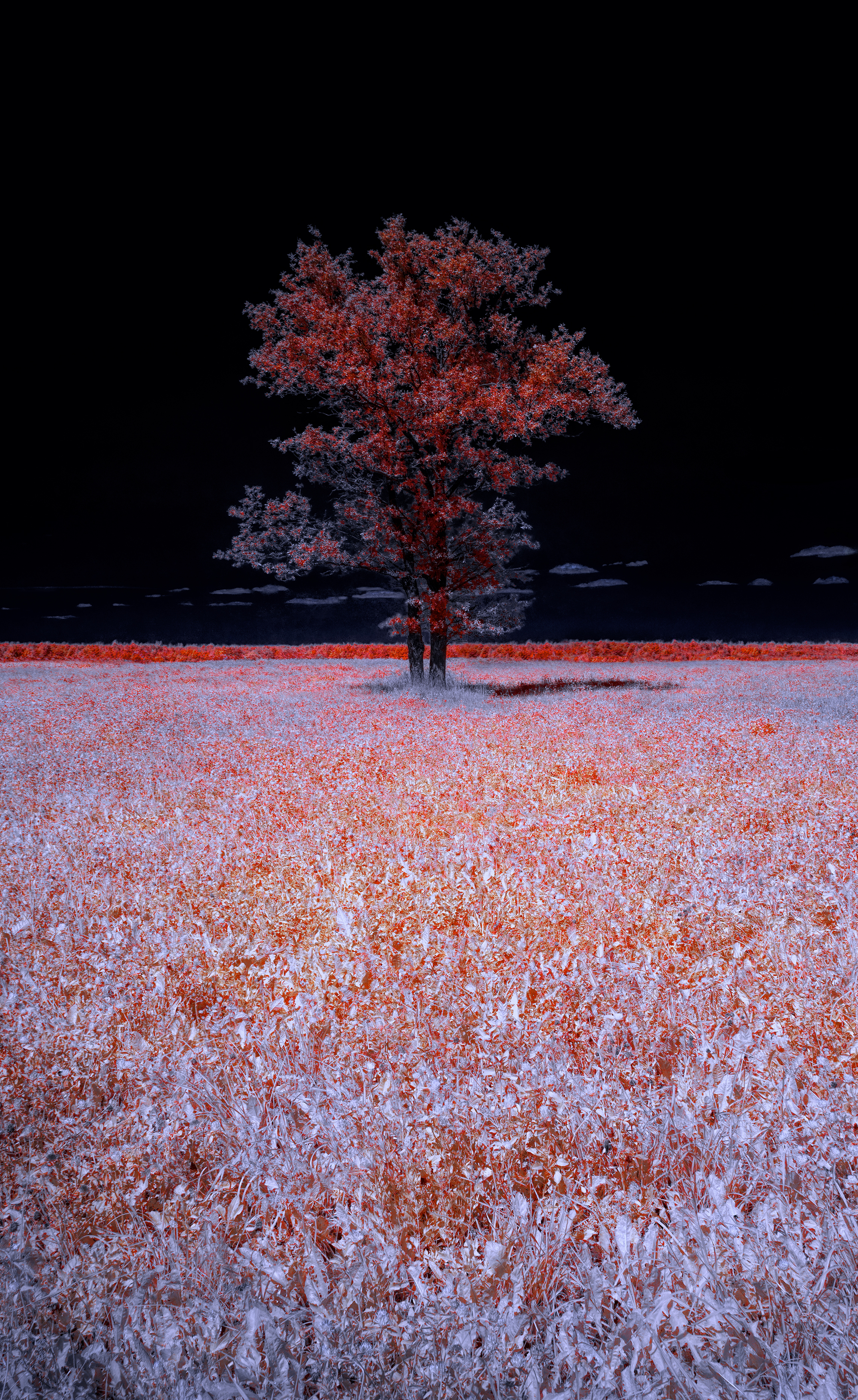 infrared, ик-фото, инфракрасное фото, инфракрасная фотография, пейзаж, лето,  Sixten (Сергей)