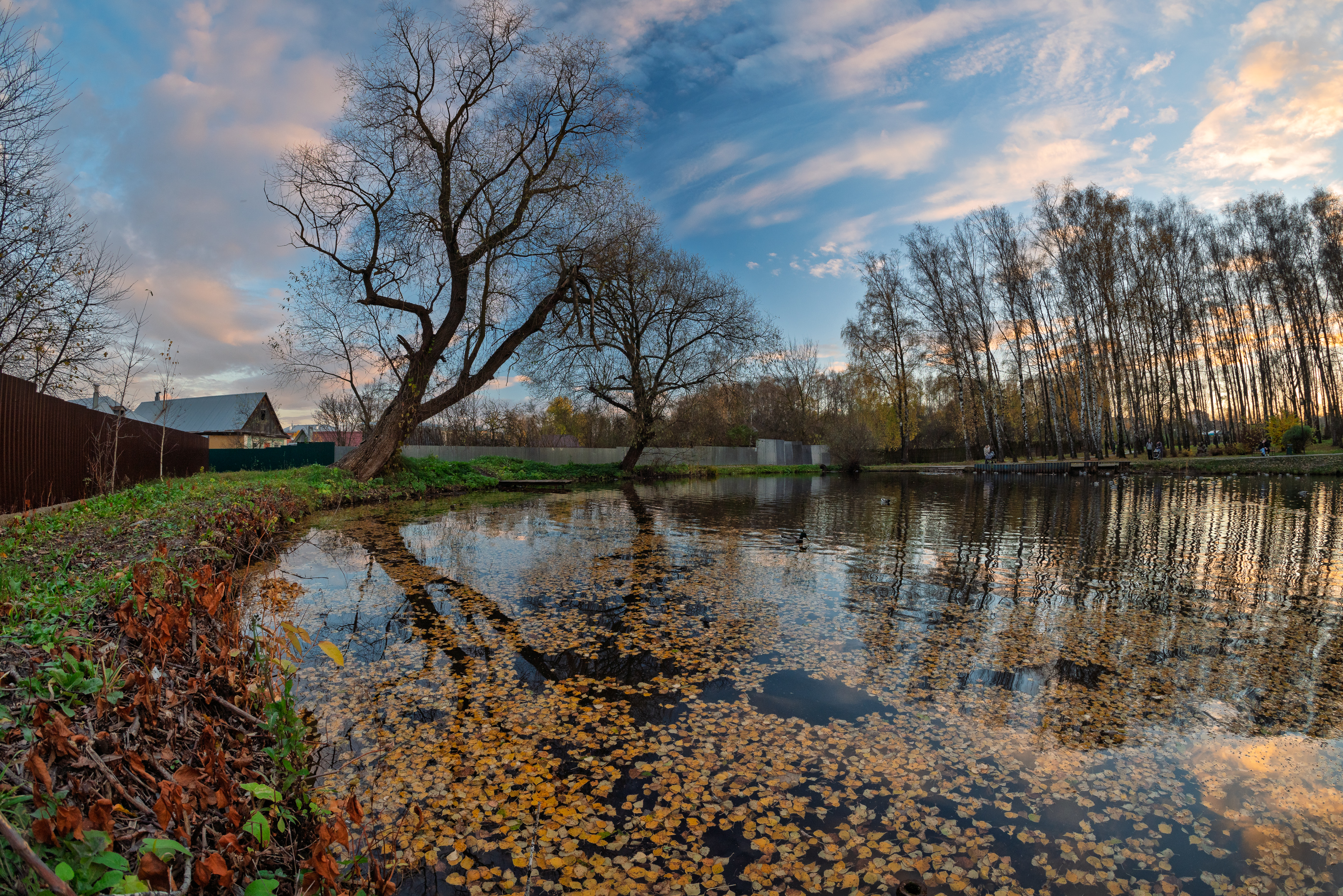 , Алексей Горохов