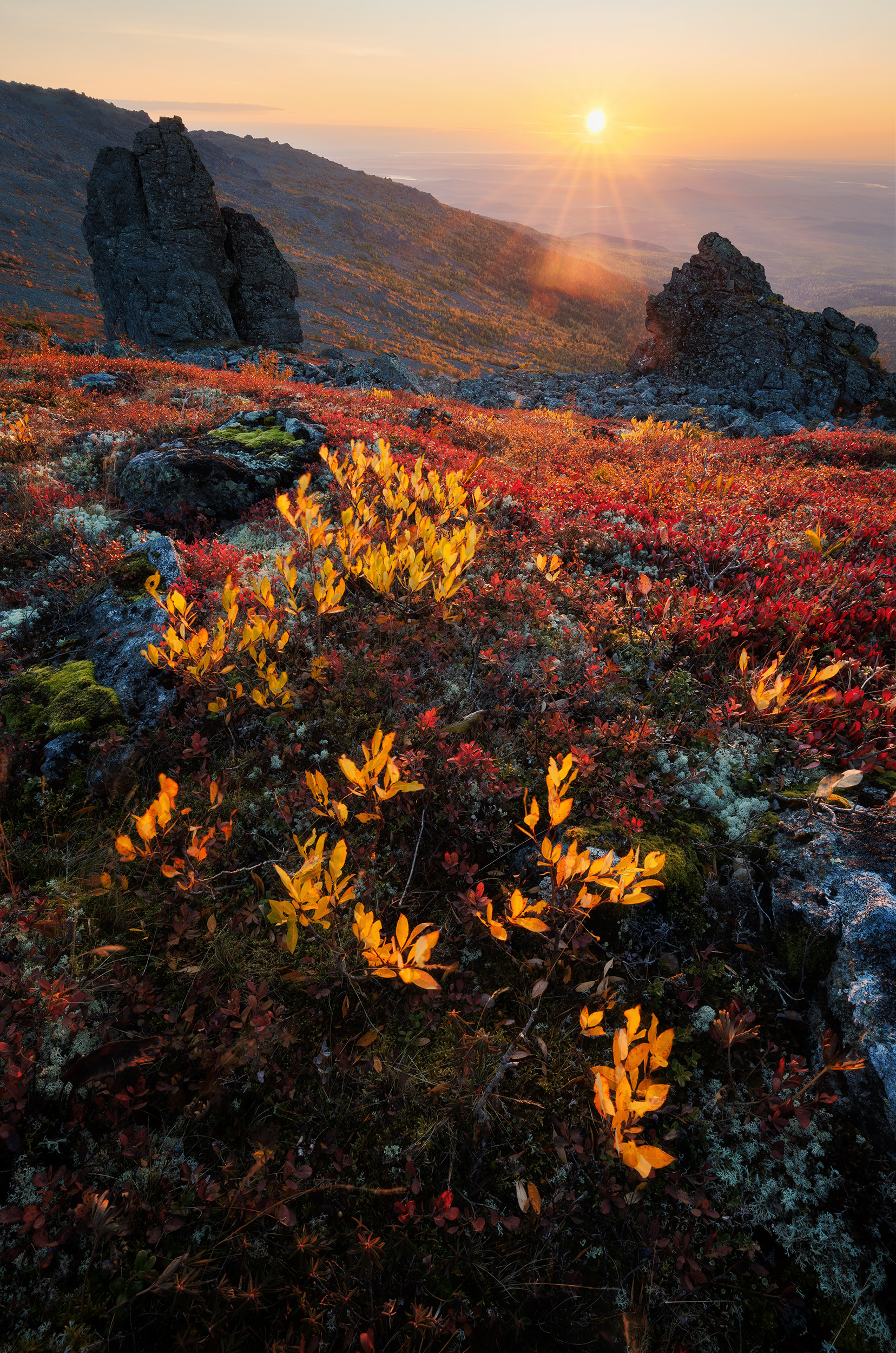 Северный Урал, Урал, тундра, Серебрянский камень, Конжак, Сергей Гарифуллин