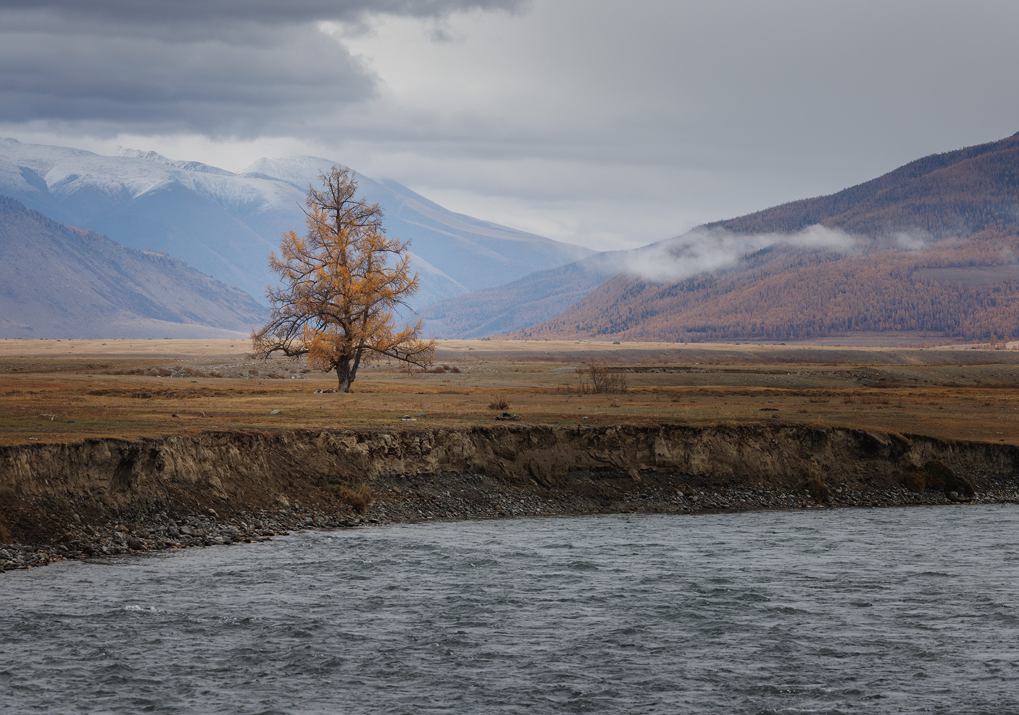 алтай, горный алтай, курай, Морозов Сергей