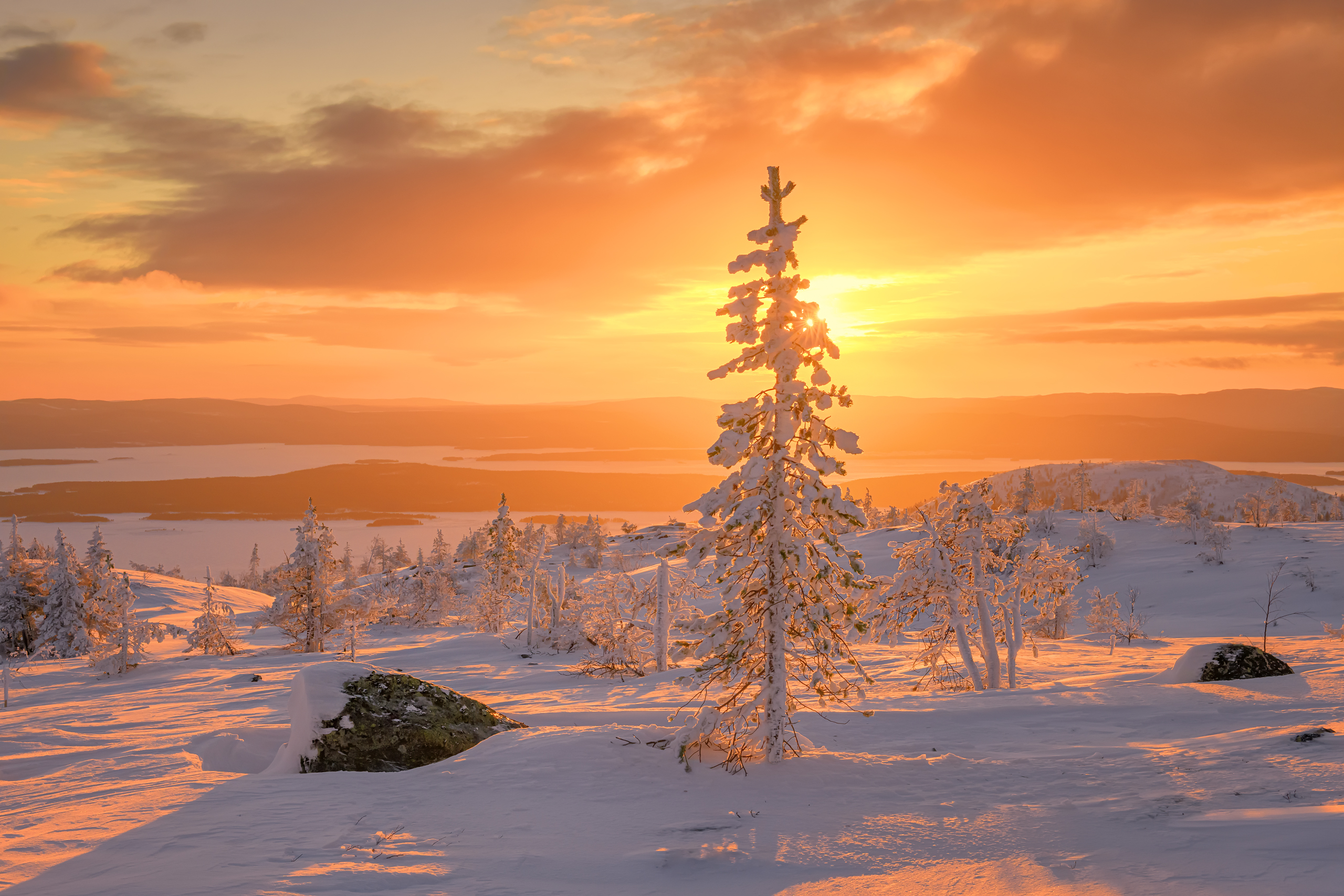 , Евдокимов Максим