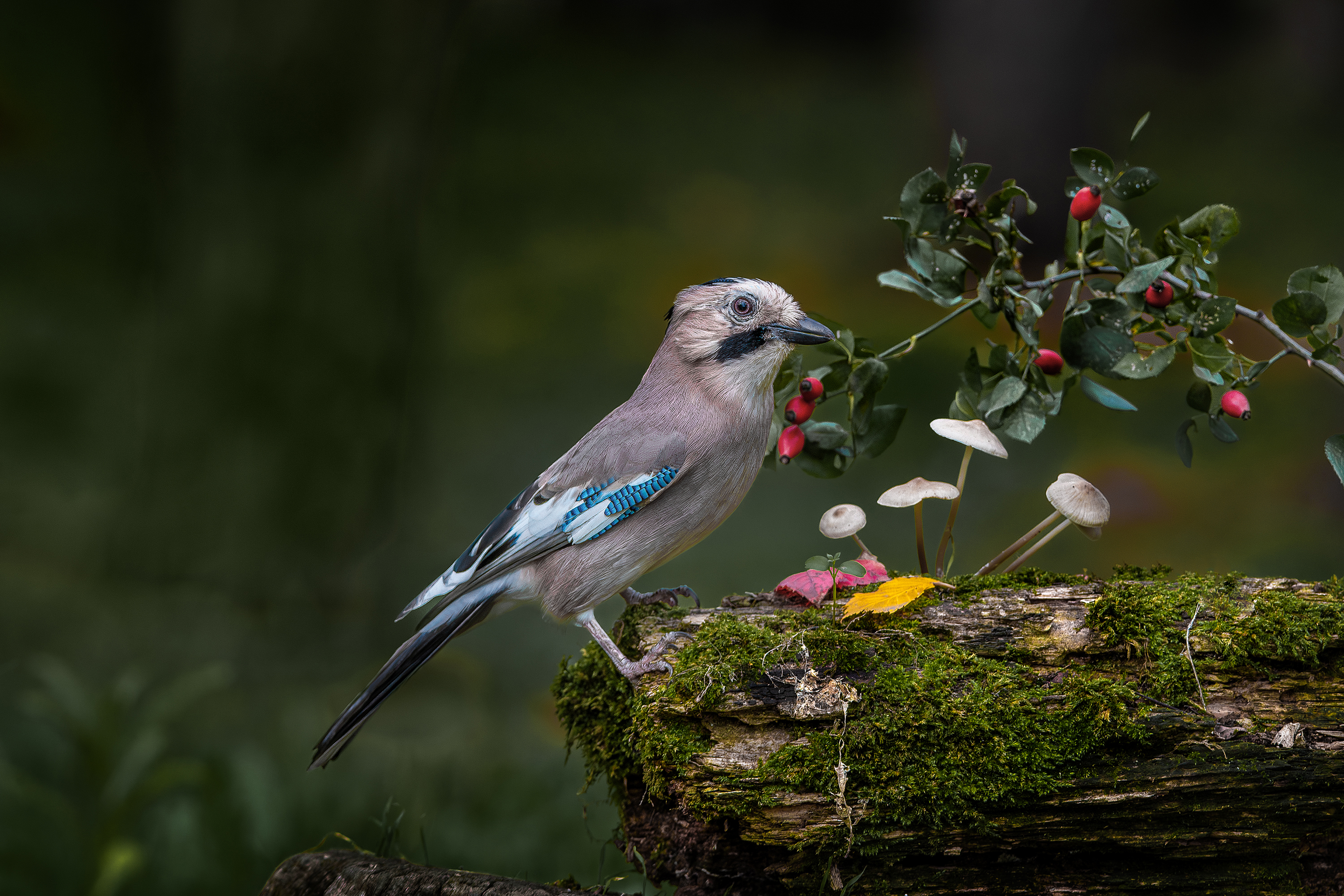 , Ожиганова Людмила