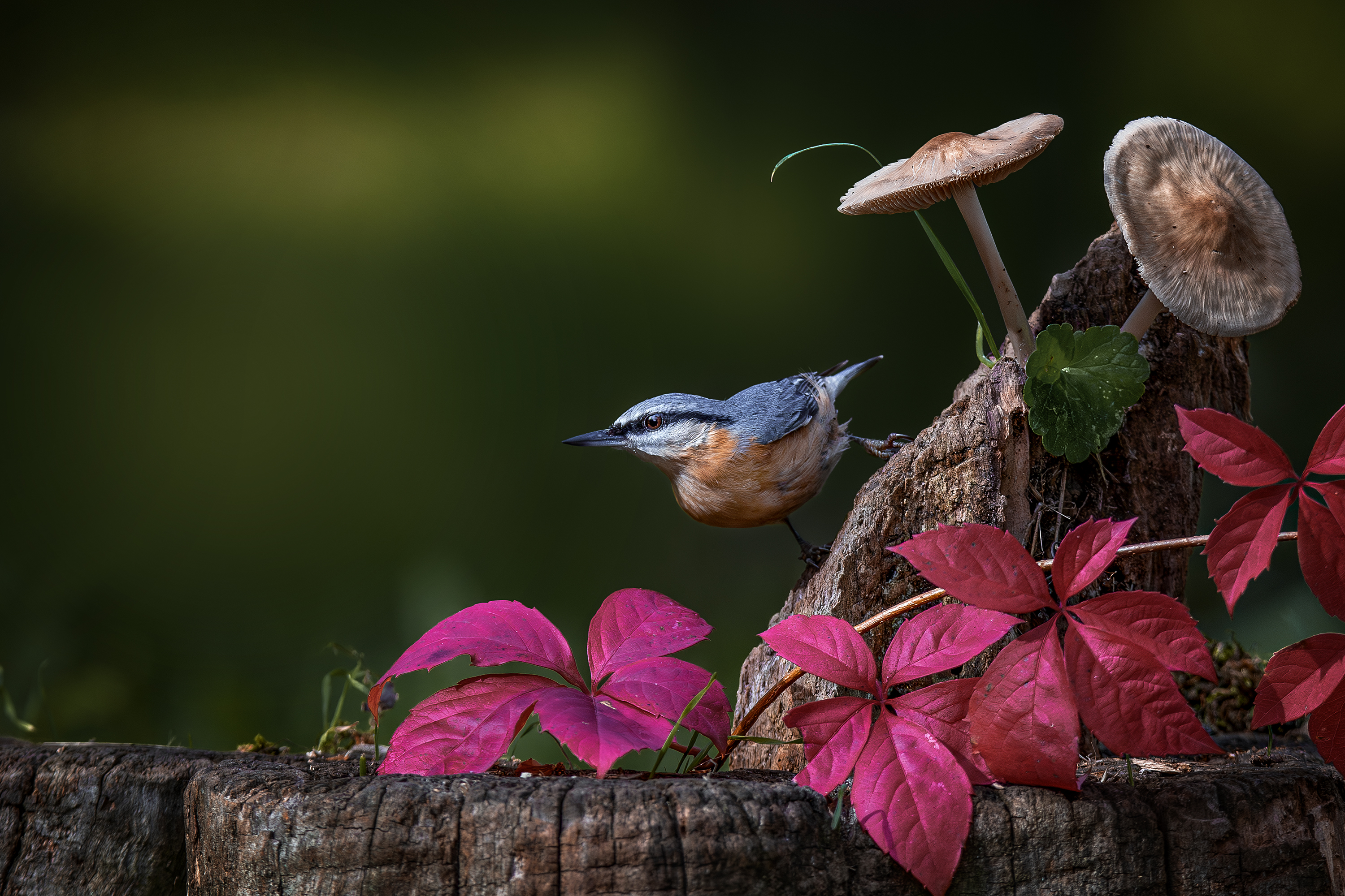 , Ожиганова Людмила