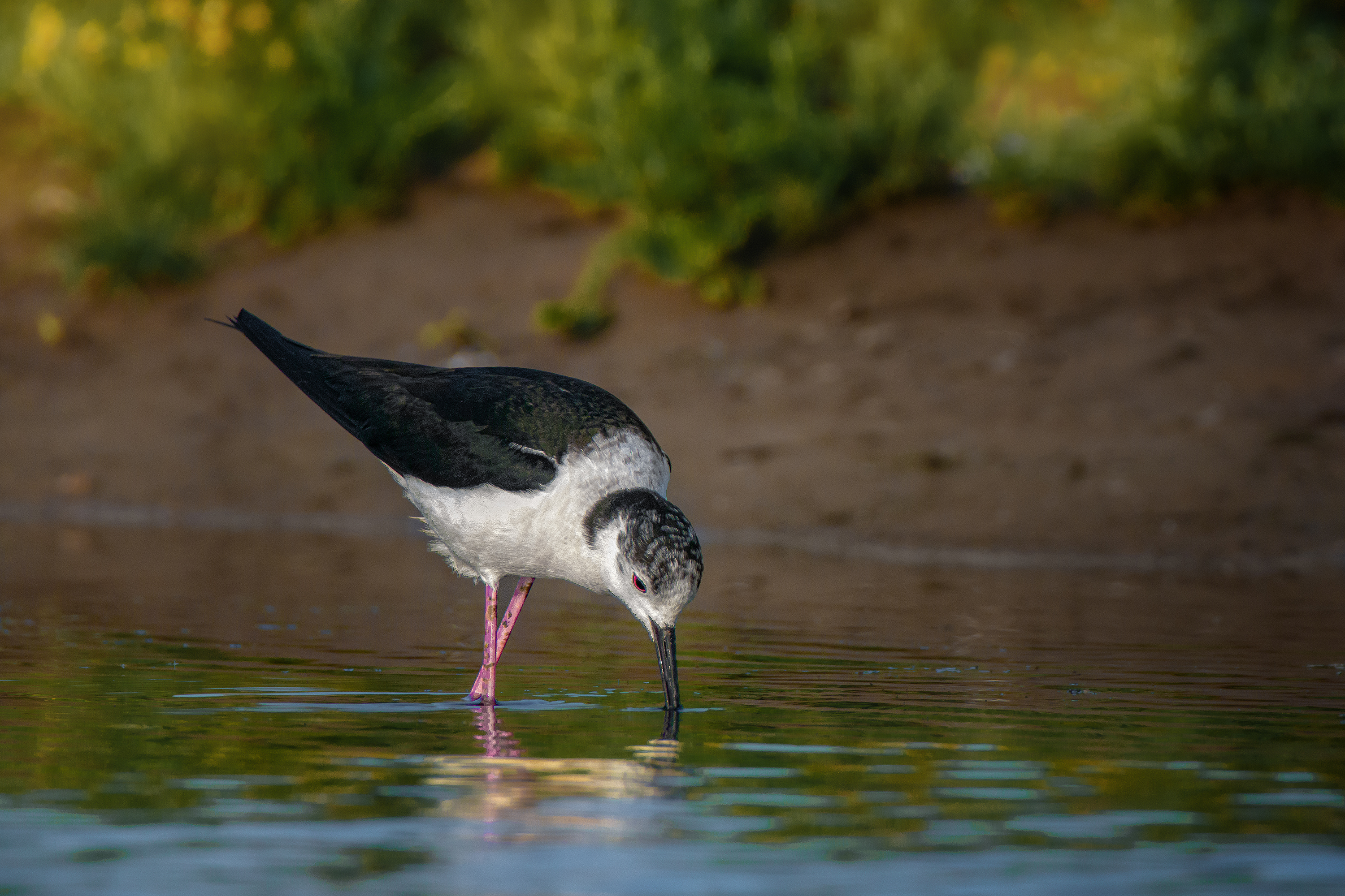, Ожиганова Людмила