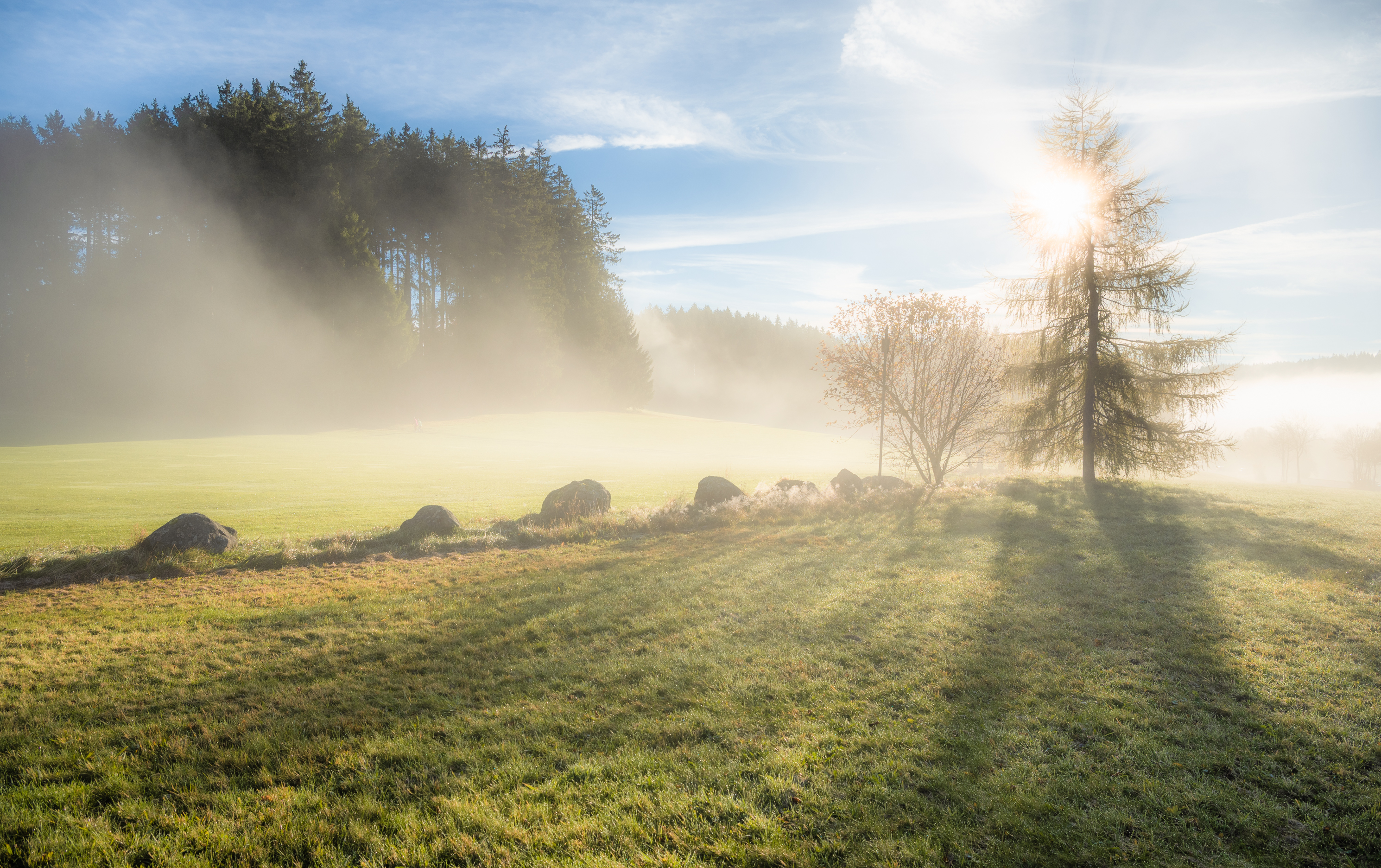 , Руслан Авдевич