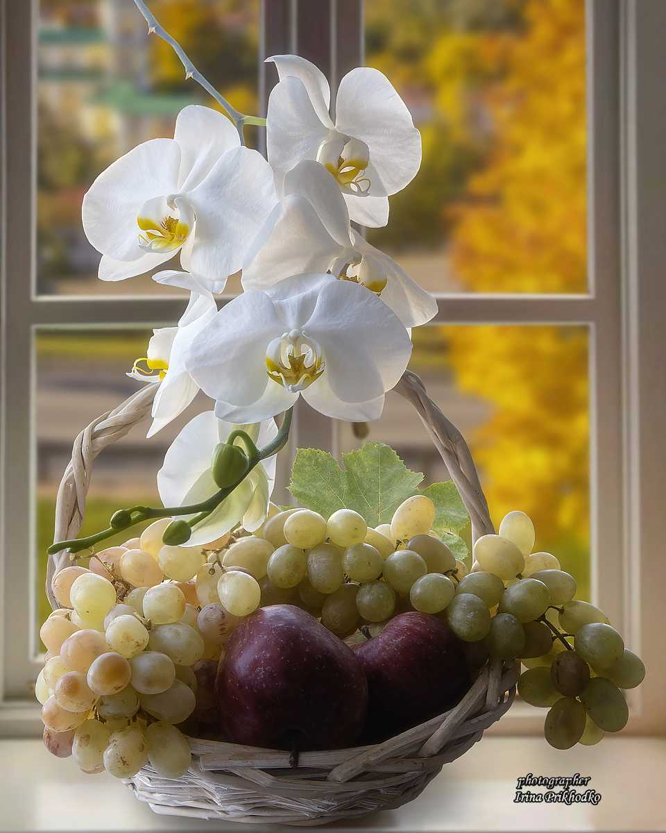 натюрморт, цветы, орхидеи, фрукты, Приходько Ирина