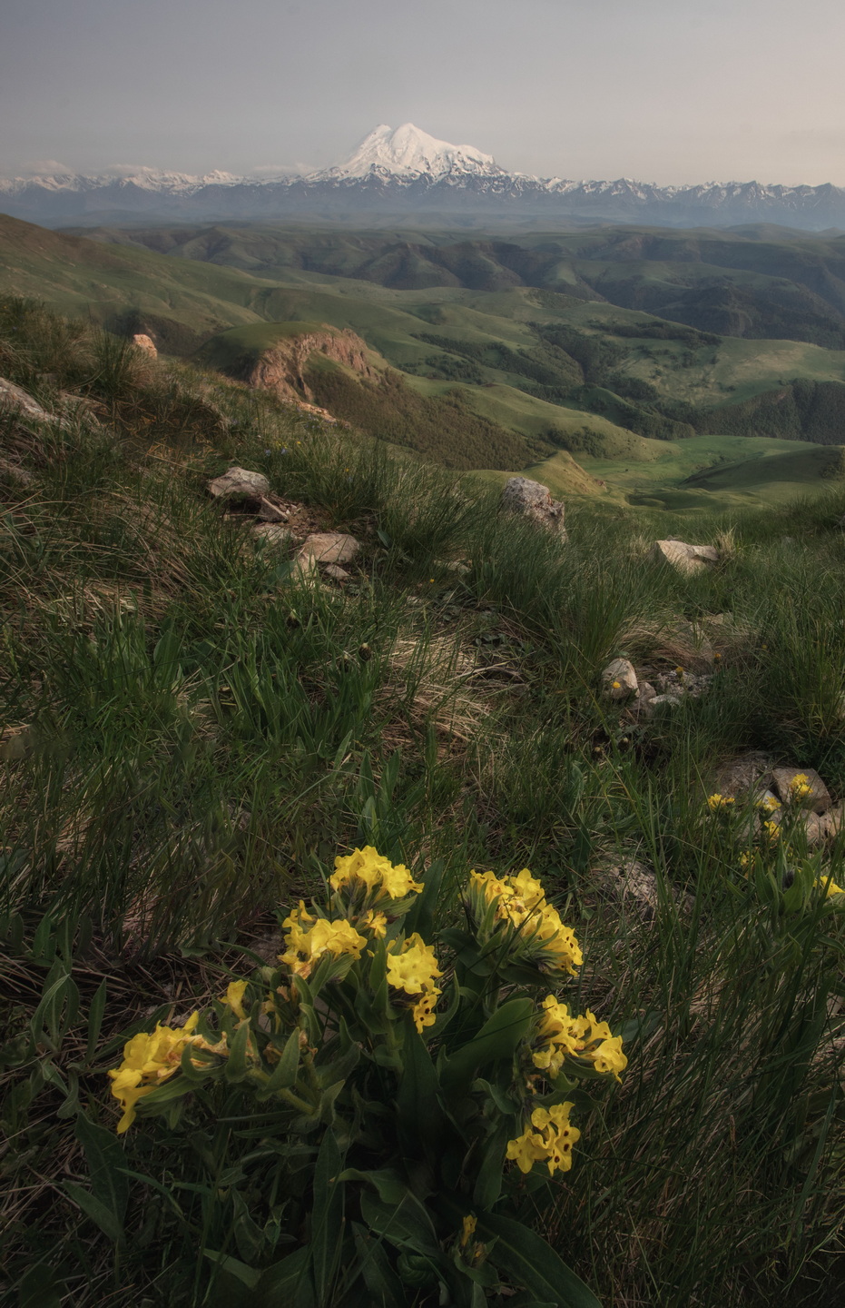 , Дэм Константин