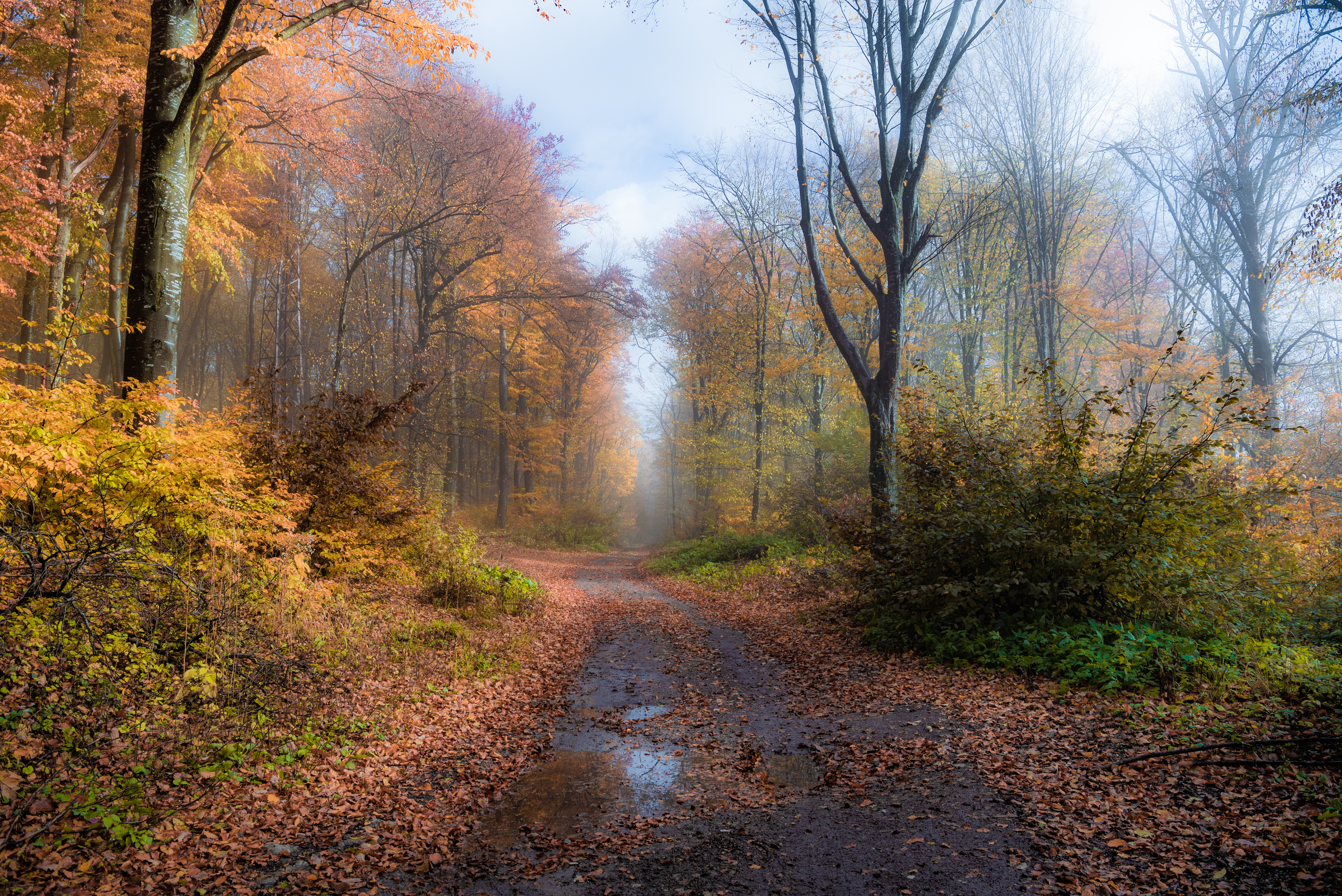 , Руслан Авдевич