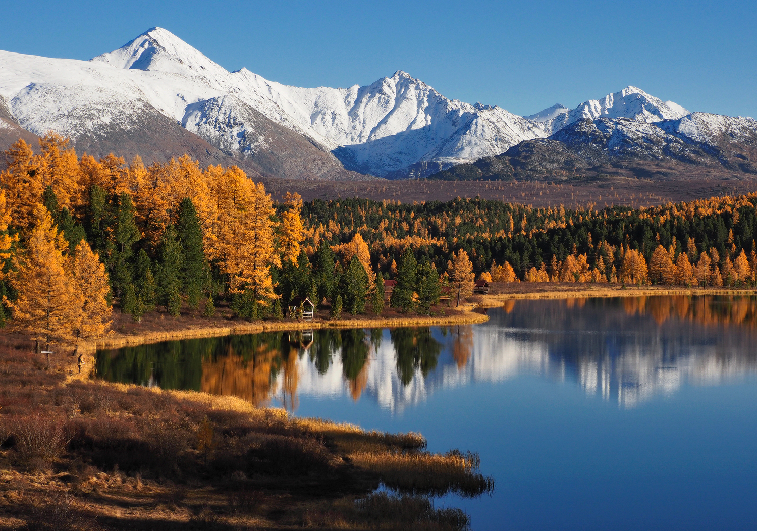 Киделю, Улаганский перевал, Алтай, Республика Алтай, Галина Хвостенко