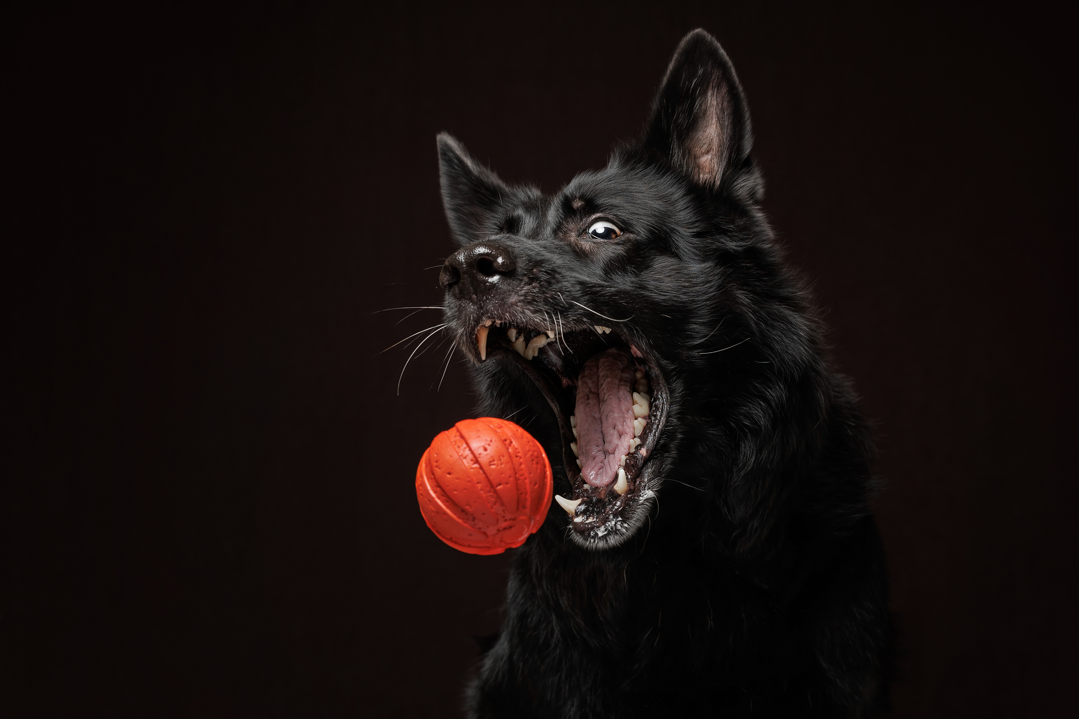 , Яна Нарбутович