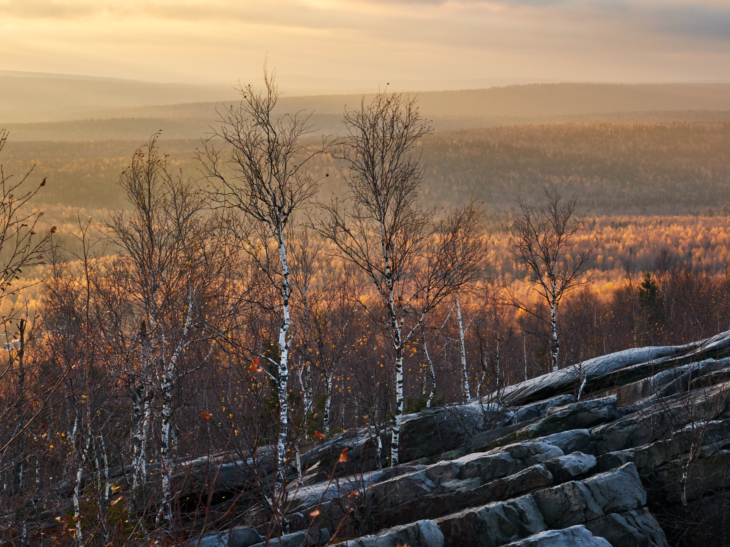 , Савицкий Ян