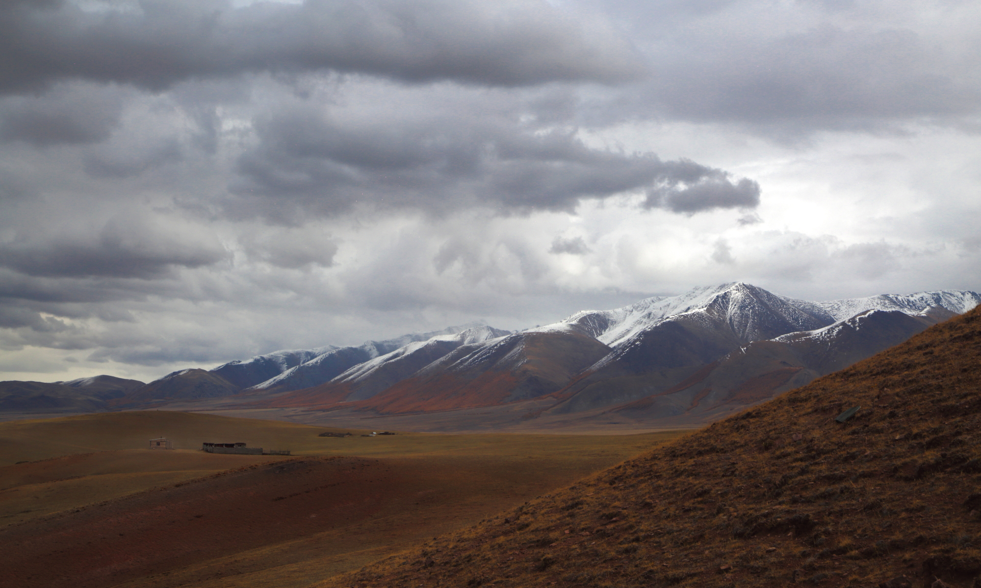 , Евгений Зинов