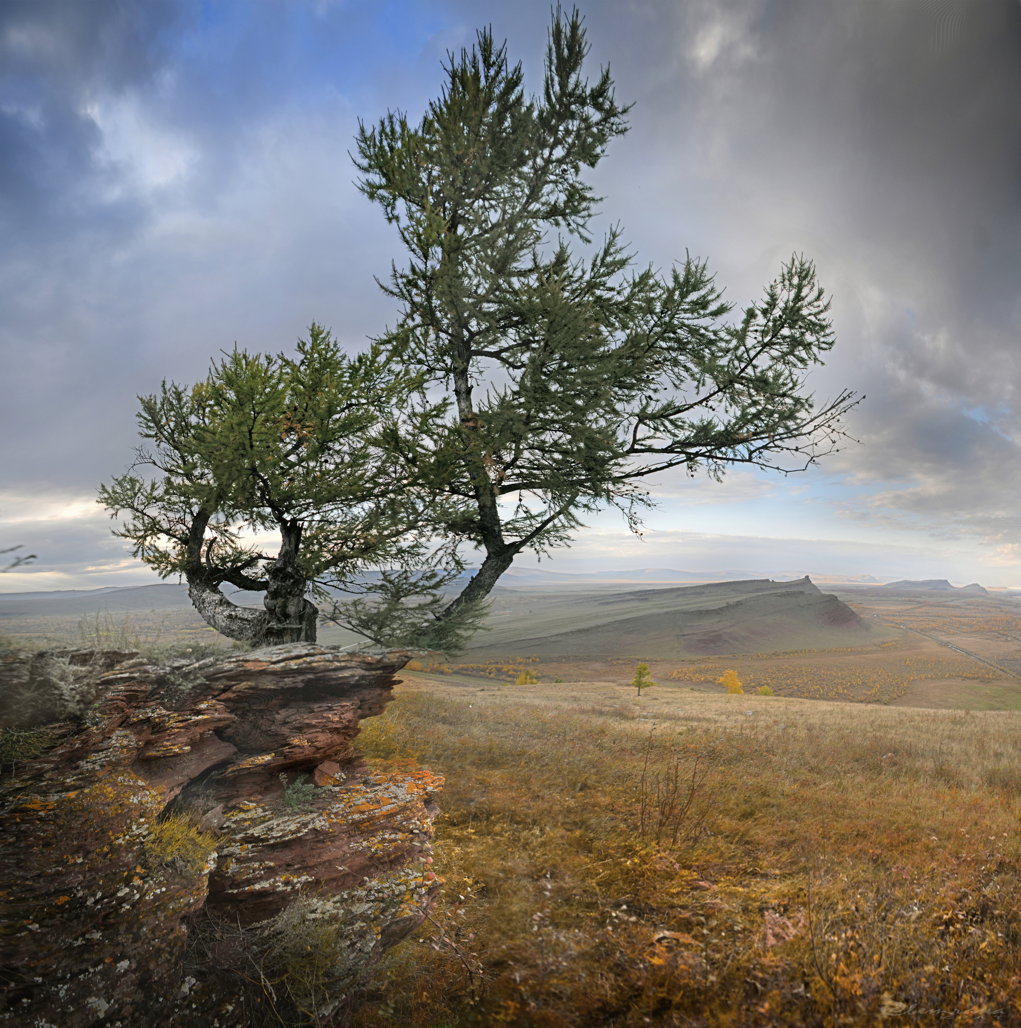 , Крат Светлана