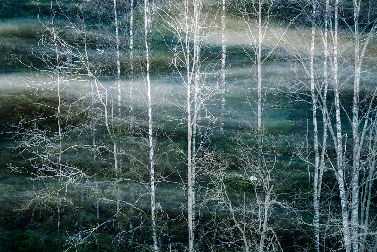 , Екатерина Васягина