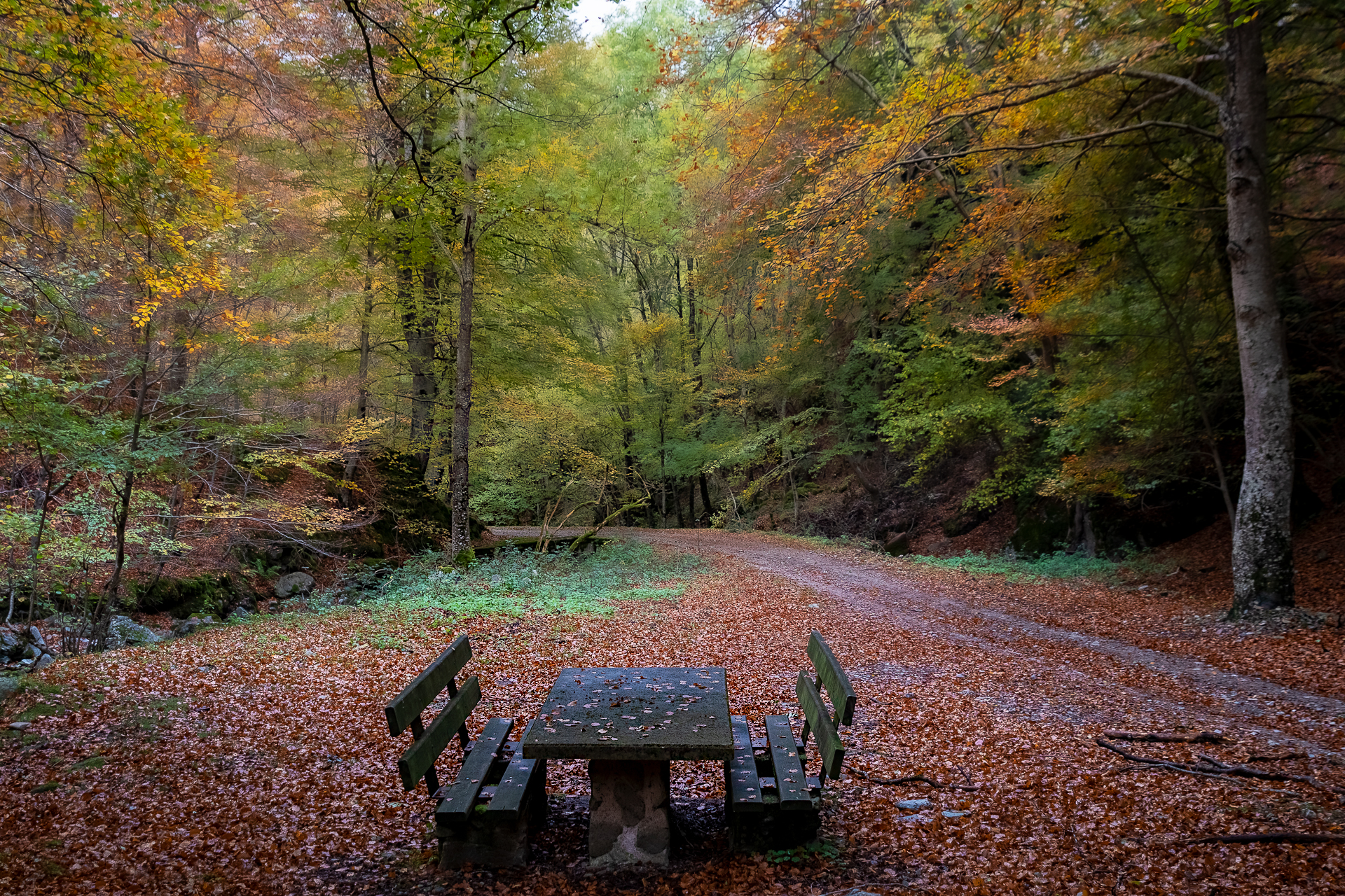 , Antonio Cantabrana