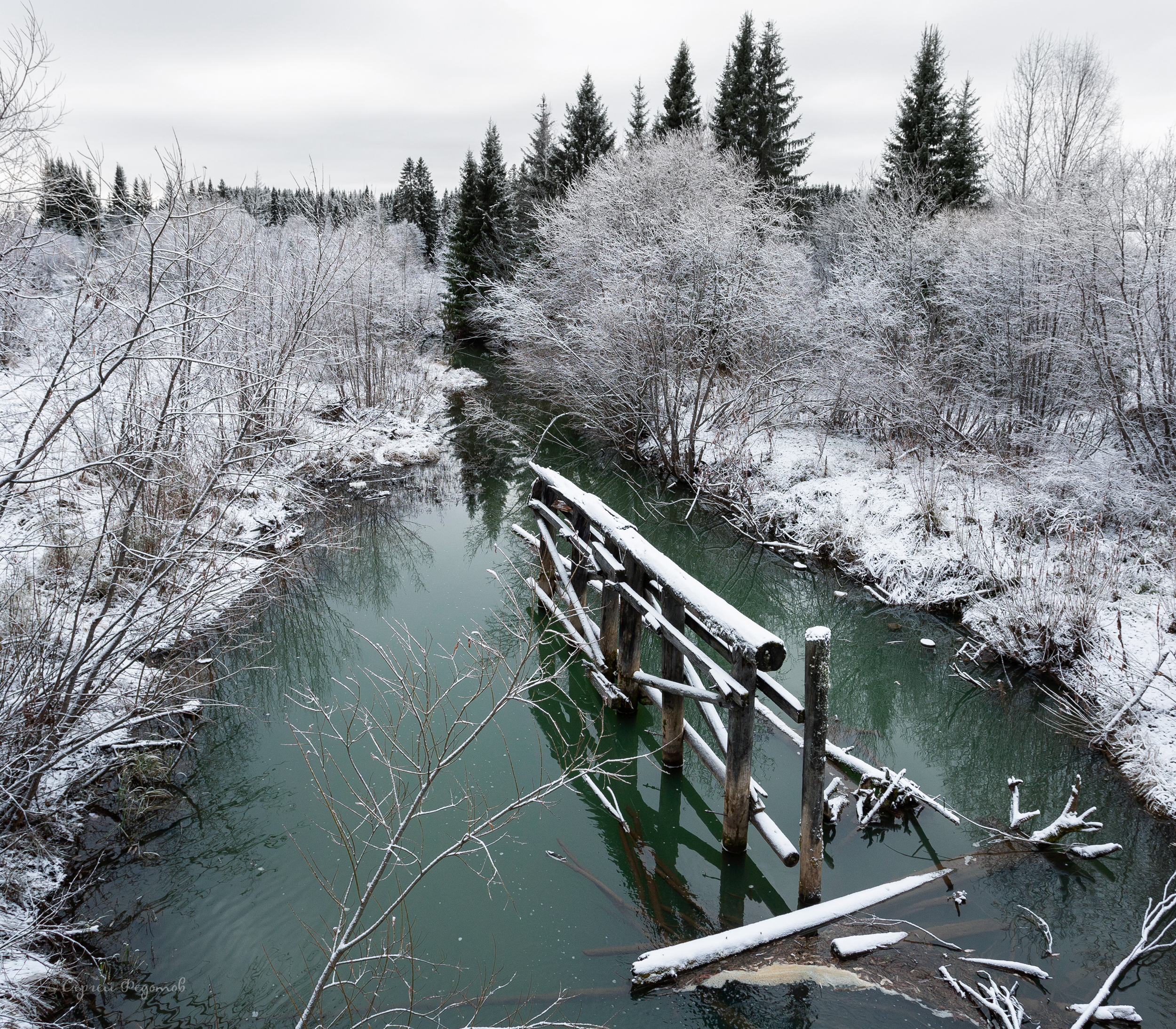 , Федотов Сергей