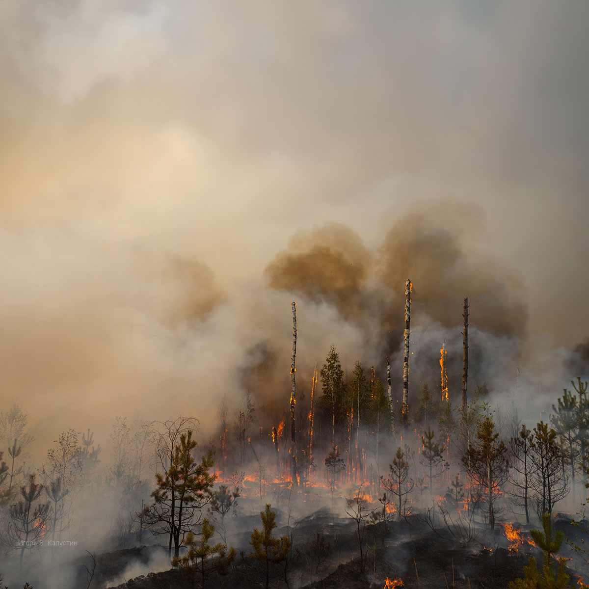 , Капустин Игорь