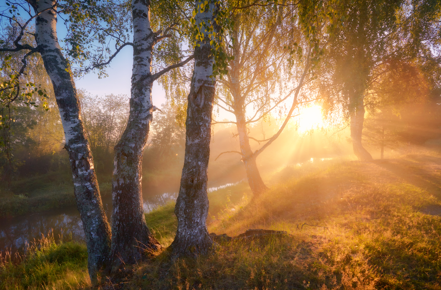 , Роман Лушпа